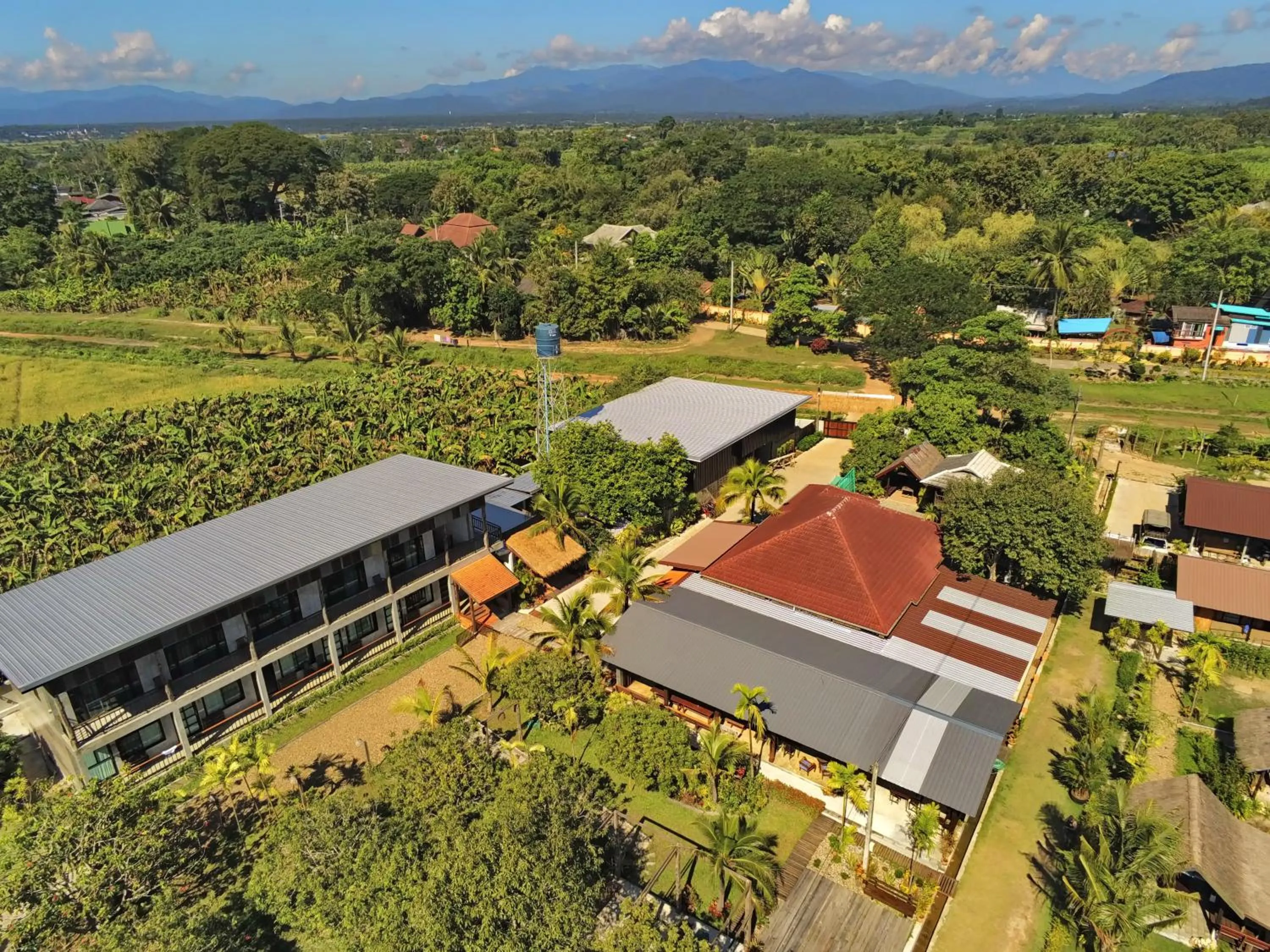 Bird's eye view in Le Cocotier