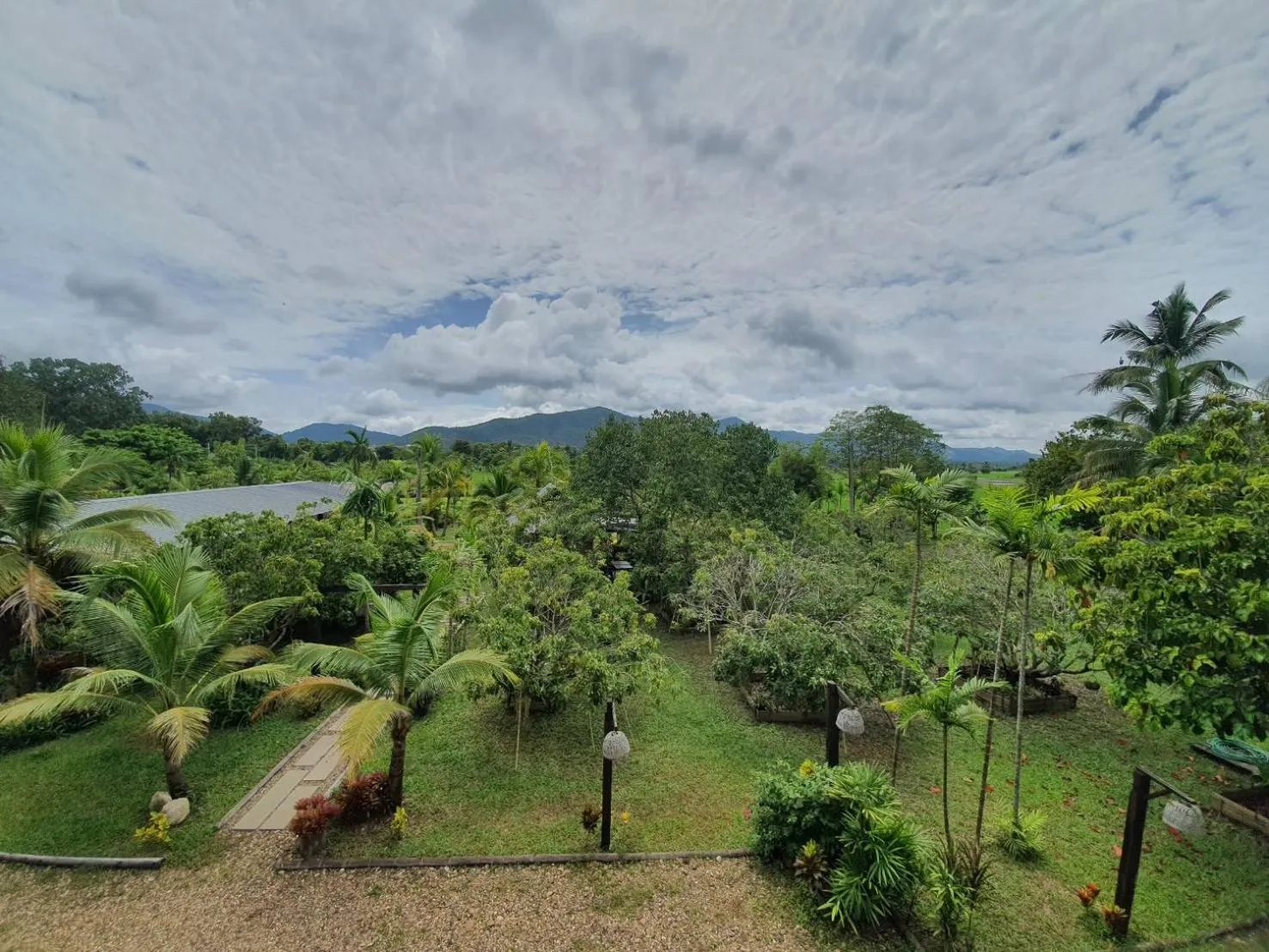 View (from property/room) in Le Cocotier