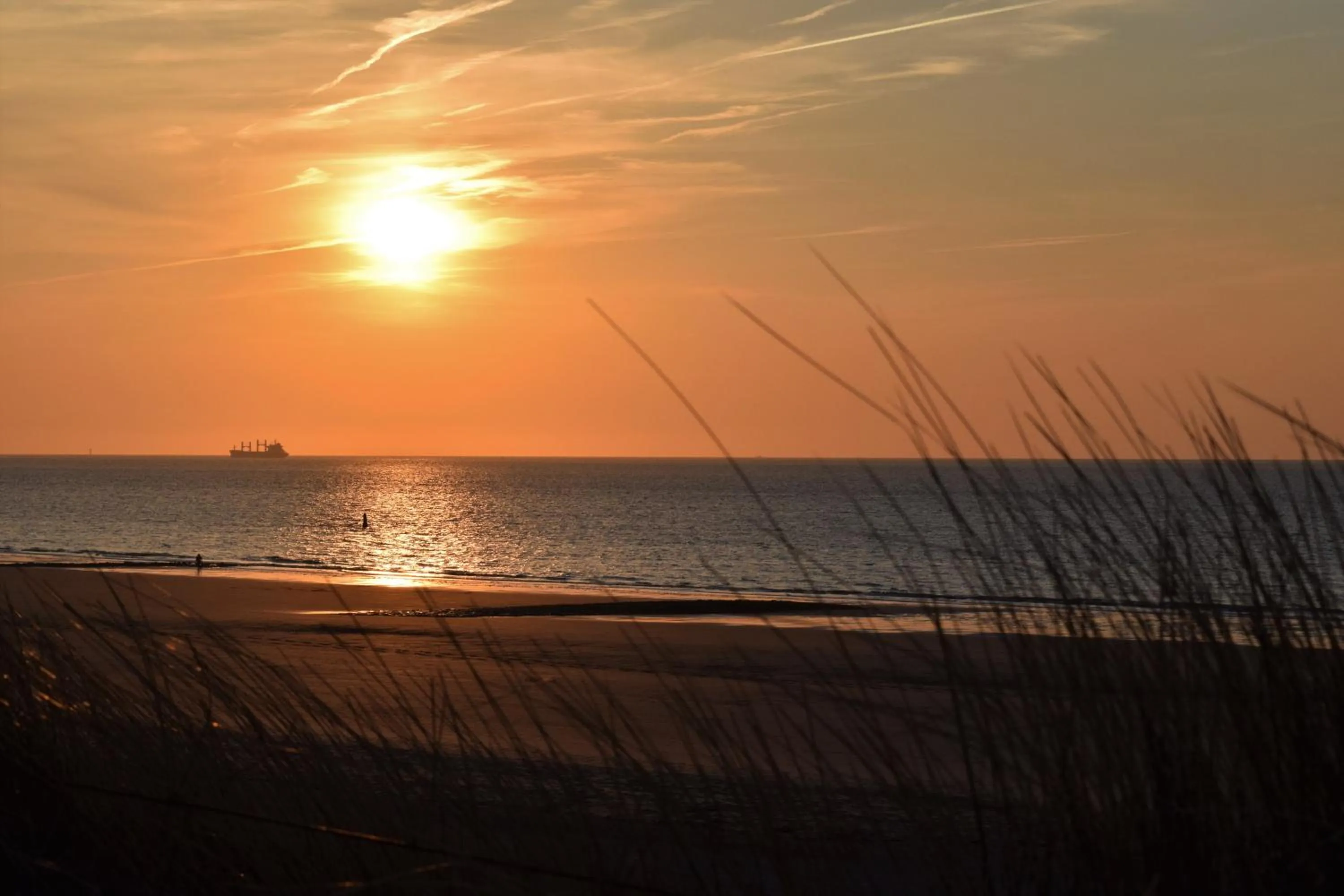 Beach in Hotel Maurice