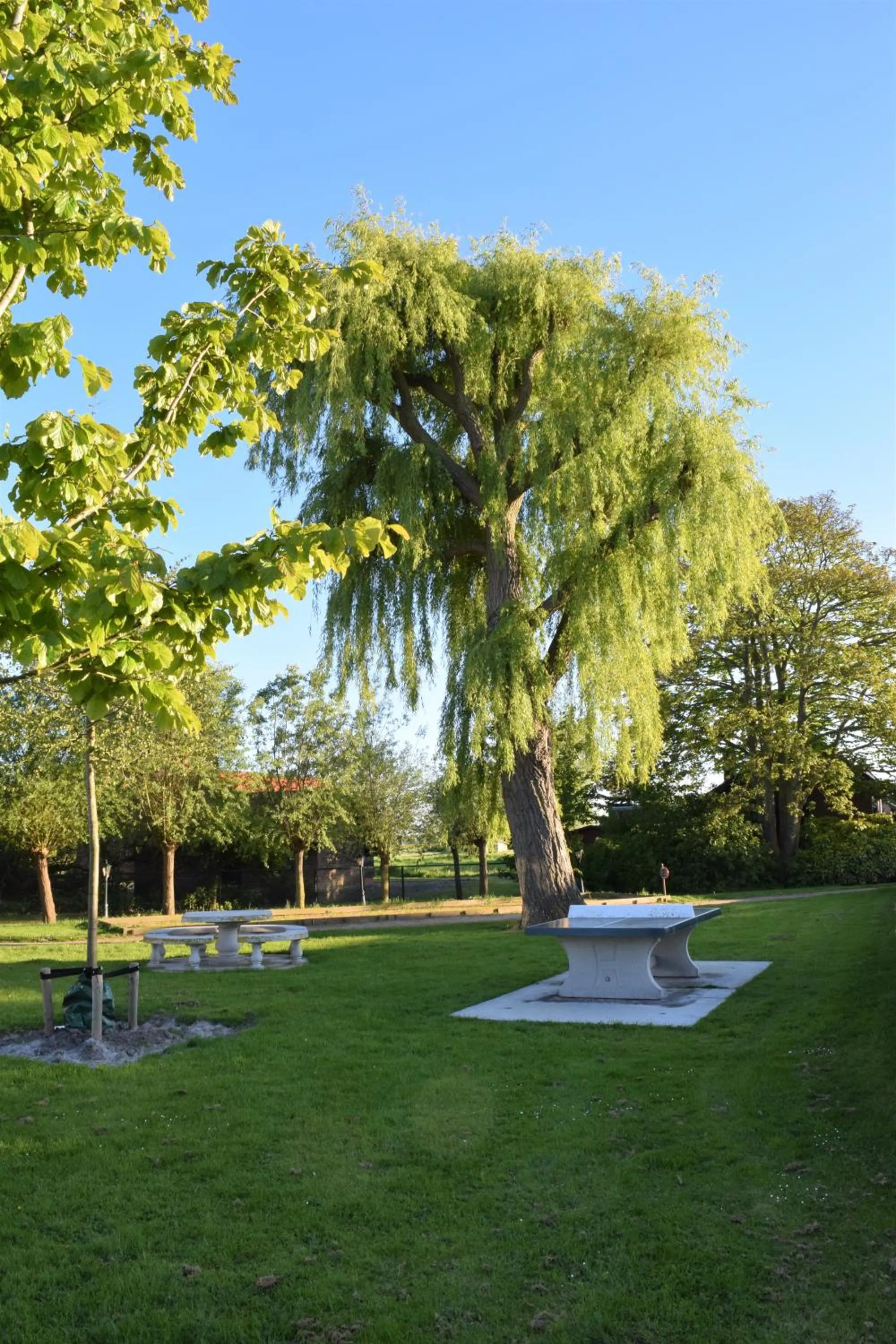 Neighbourhood in Hotel Maurice