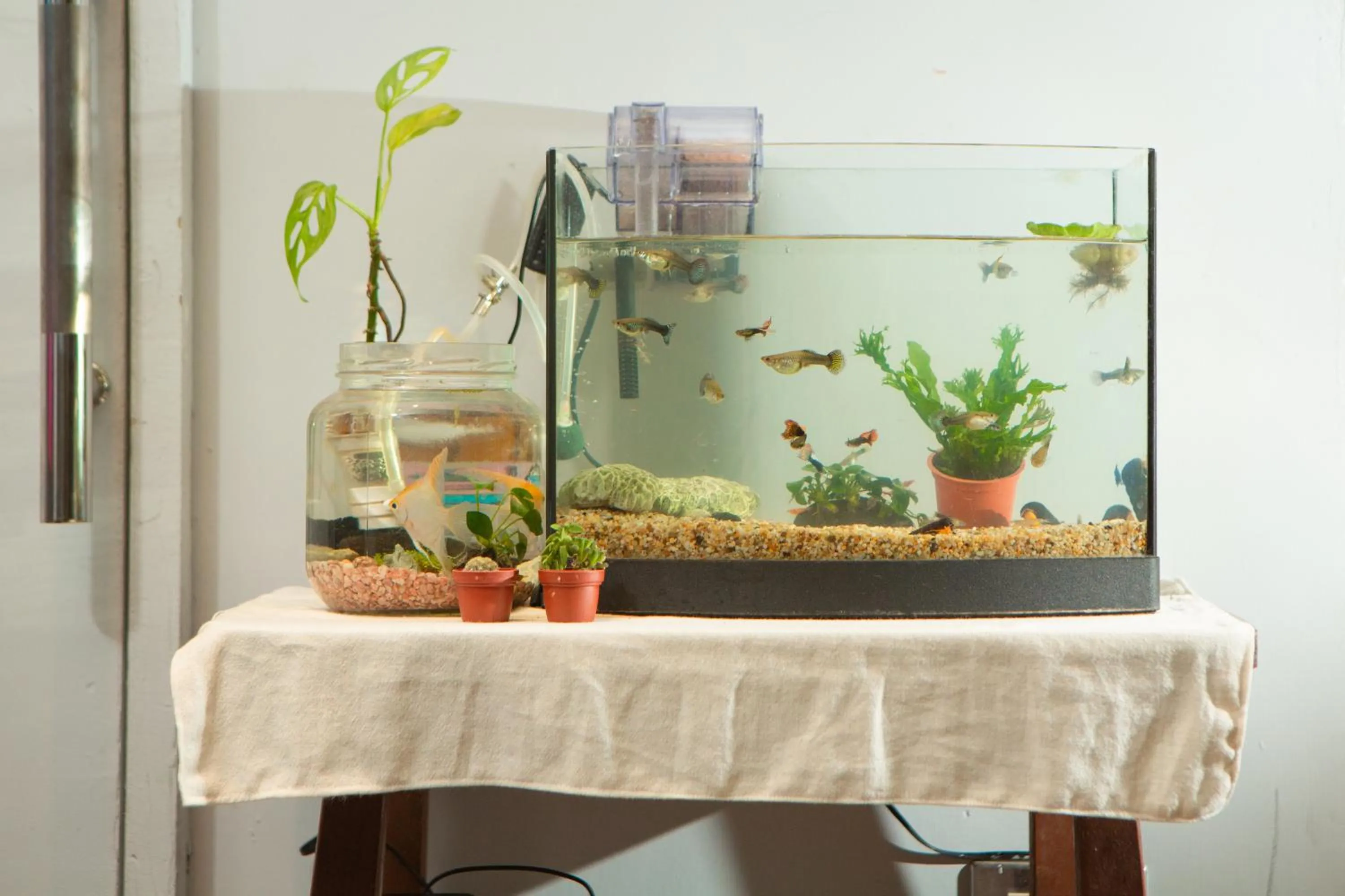 Corner Hostel & Cafe