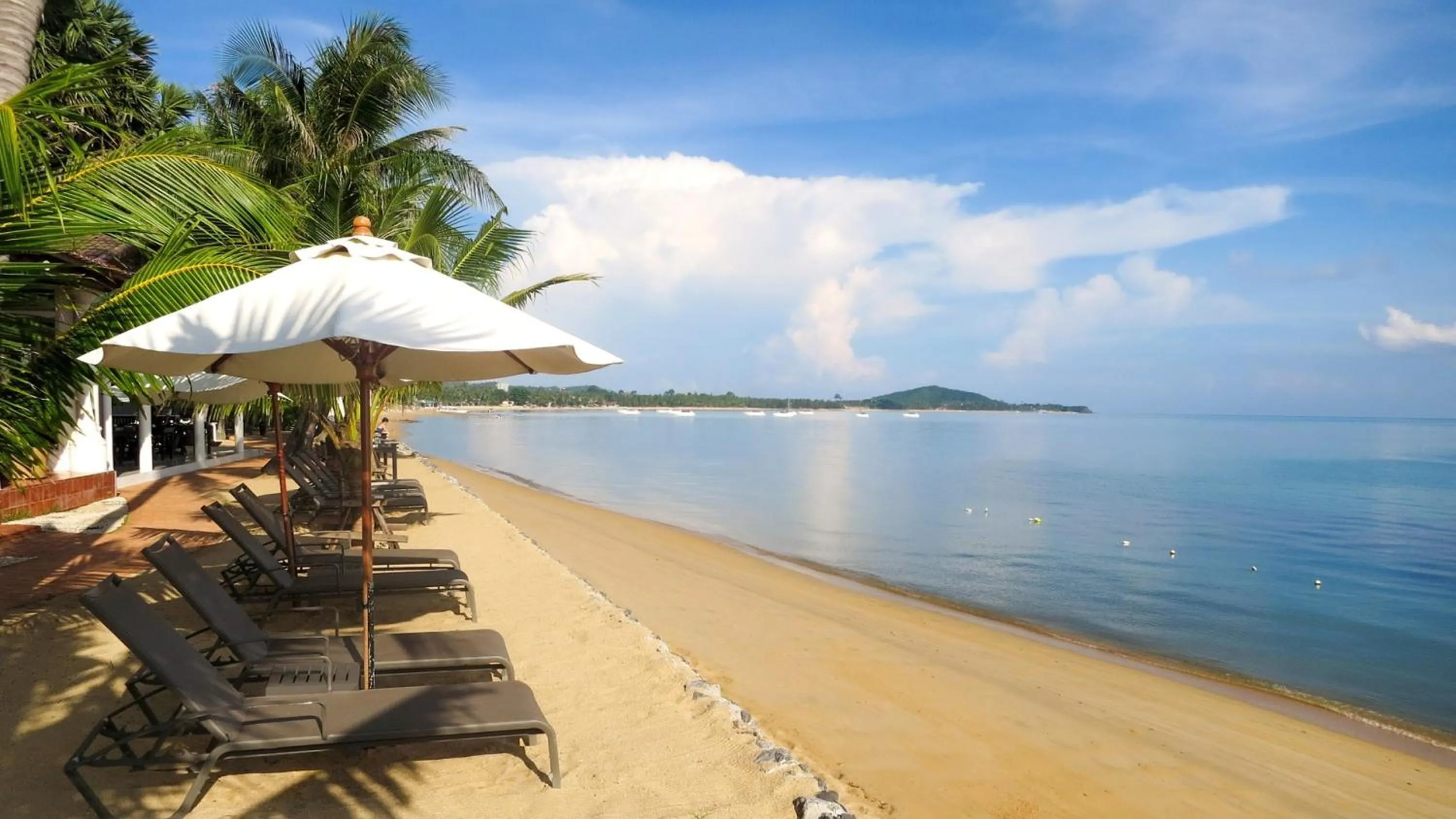 Beach in Paradise Beach Resort, Koh Samui - SHA Extra Plus