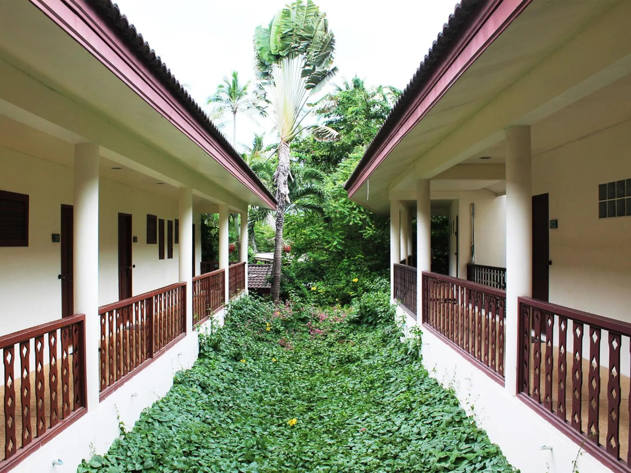 Property building in Paradise Beach Resort, Koh Samui - SHA Extra Plus