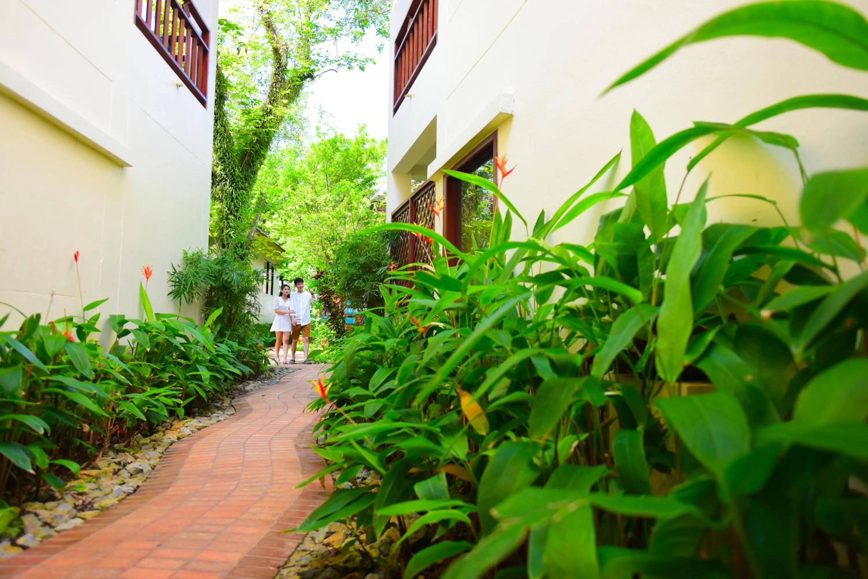 Property building in Paradise Beach Resort, Koh Samui - SHA Extra Plus