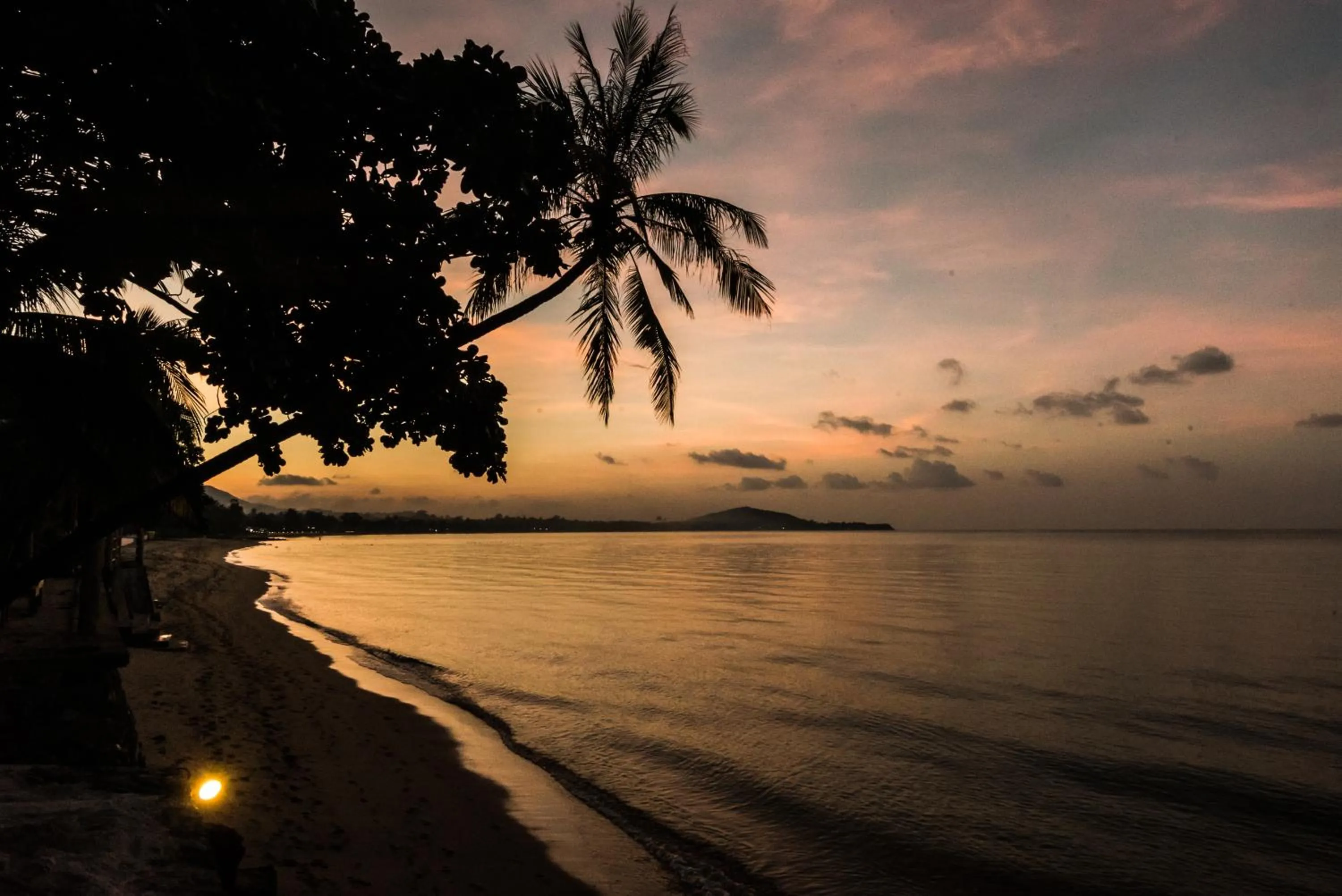 Natural landscape in Paradise Beach Resort, Koh Samui - SHA Extra Plus