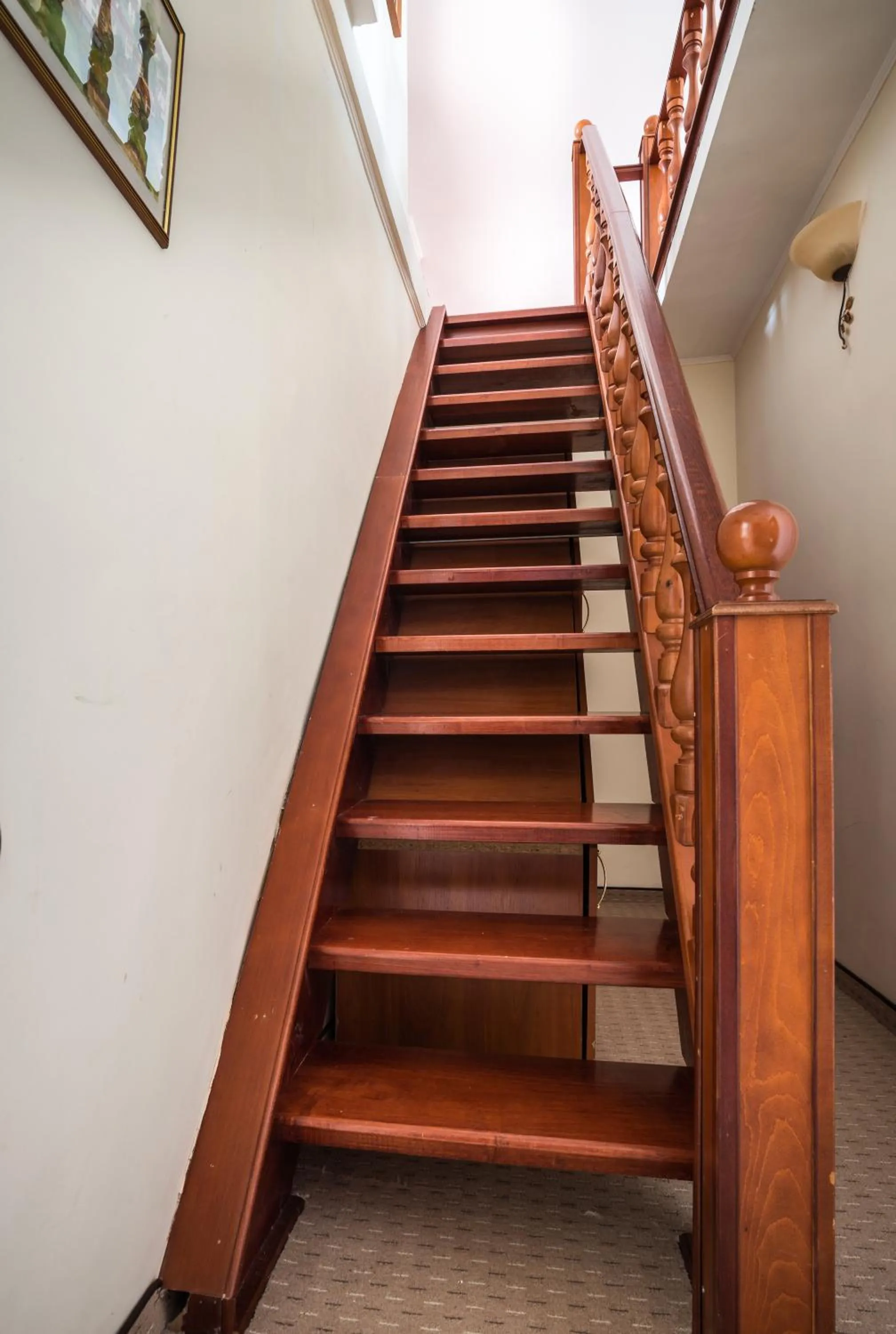 Area and facilities in Elina Hotel