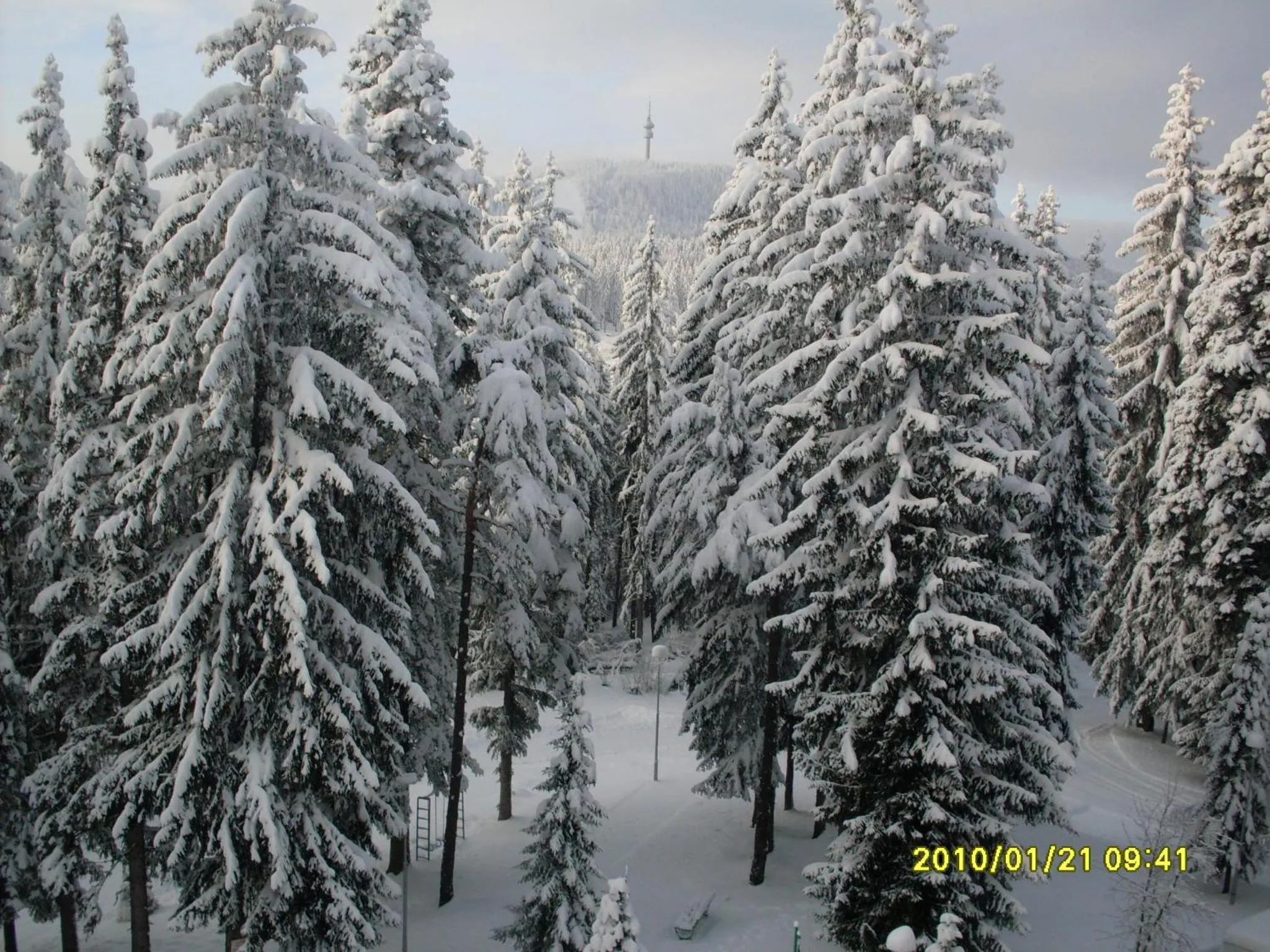 Natural landscape in Elina Hotel