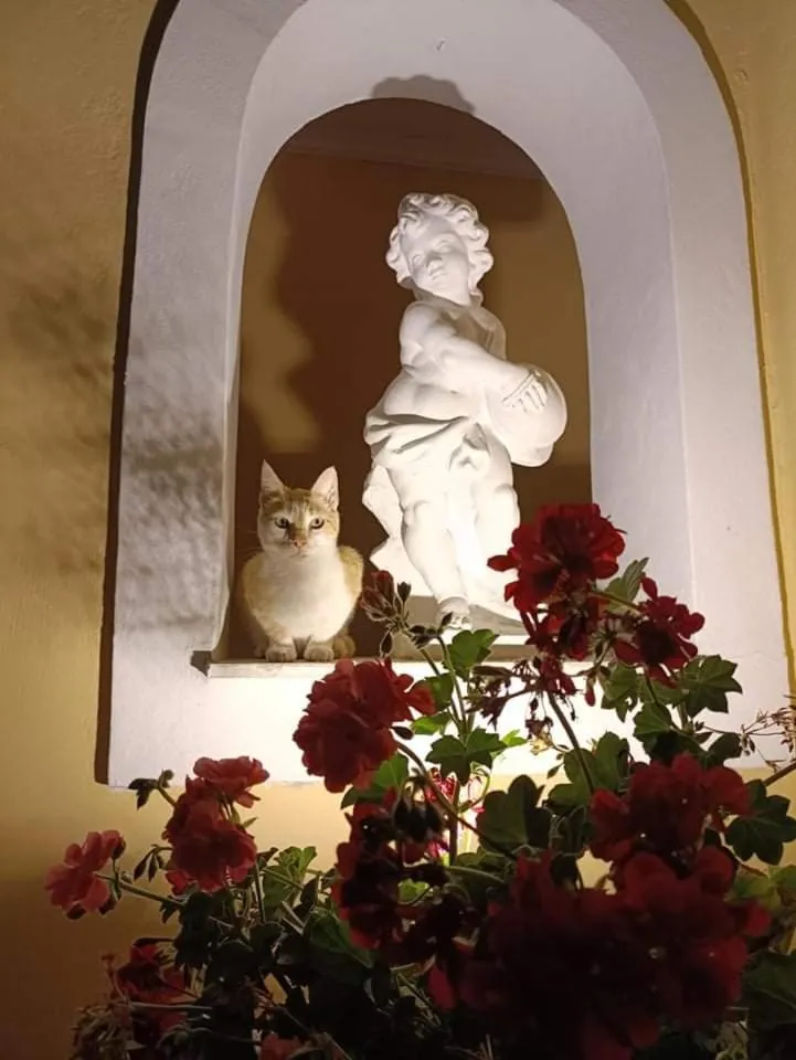 Molfetta Beach Hotel