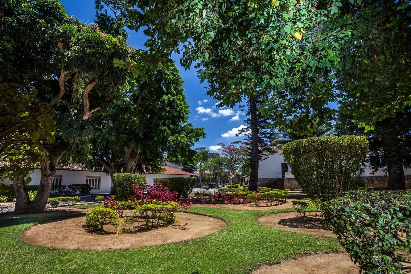 Garden in Hotel Tavares Correia