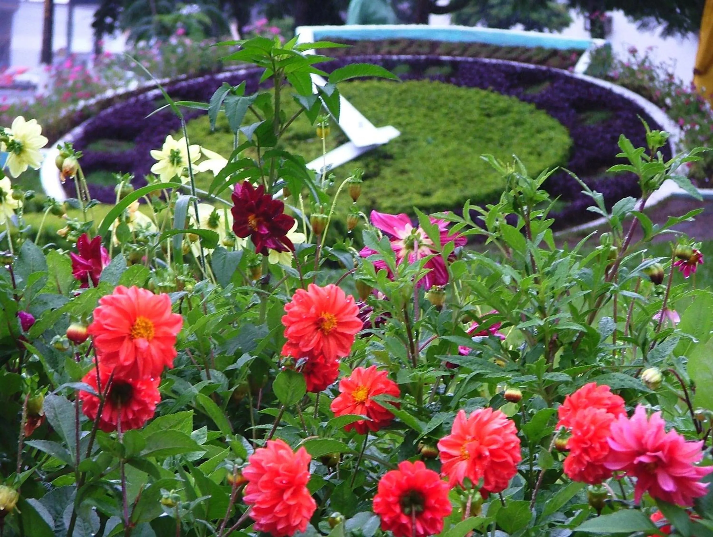 Decorative detail in Hotel Tavares Correia