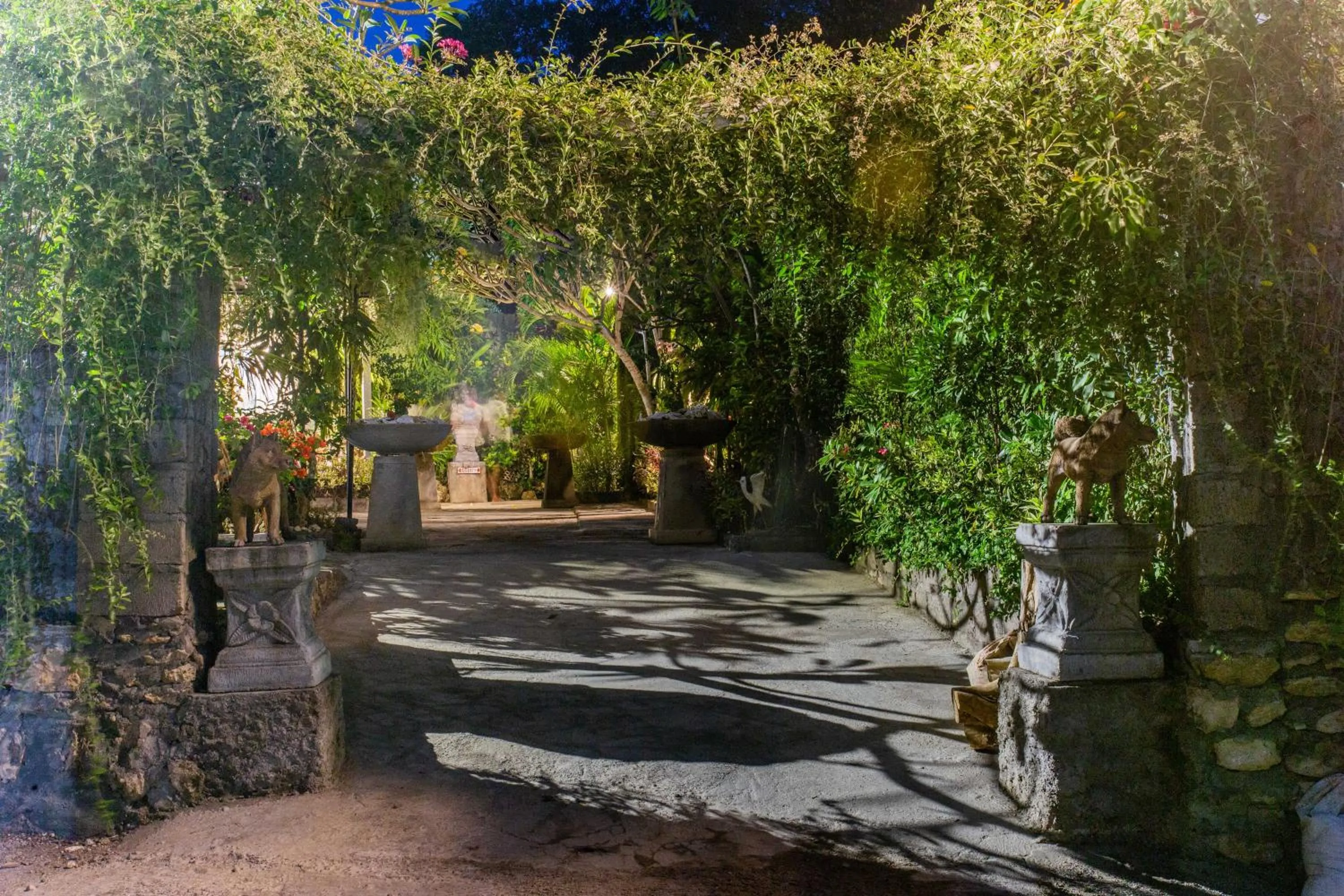 Garden in 221 Garden Cottages