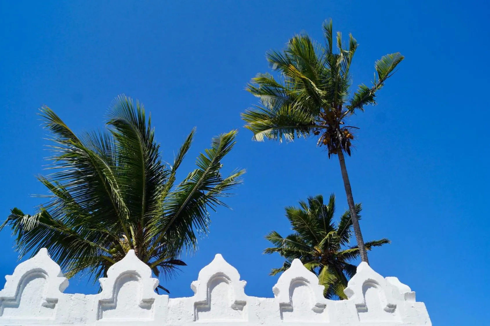 View (from property/room) in Laguna Palace Zanzibar