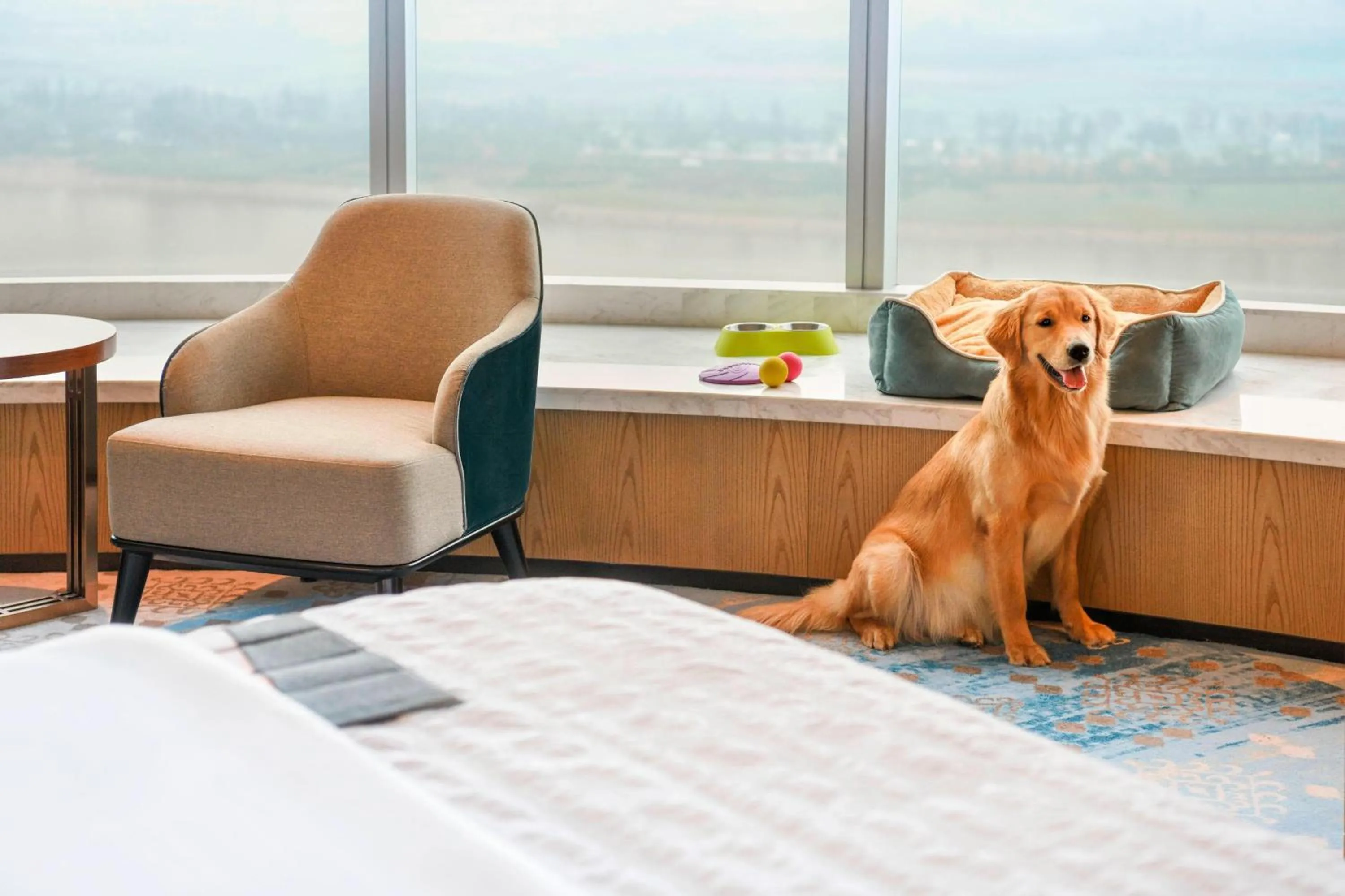 Photo of the whole room in Le Meridien Xi'an Chanba