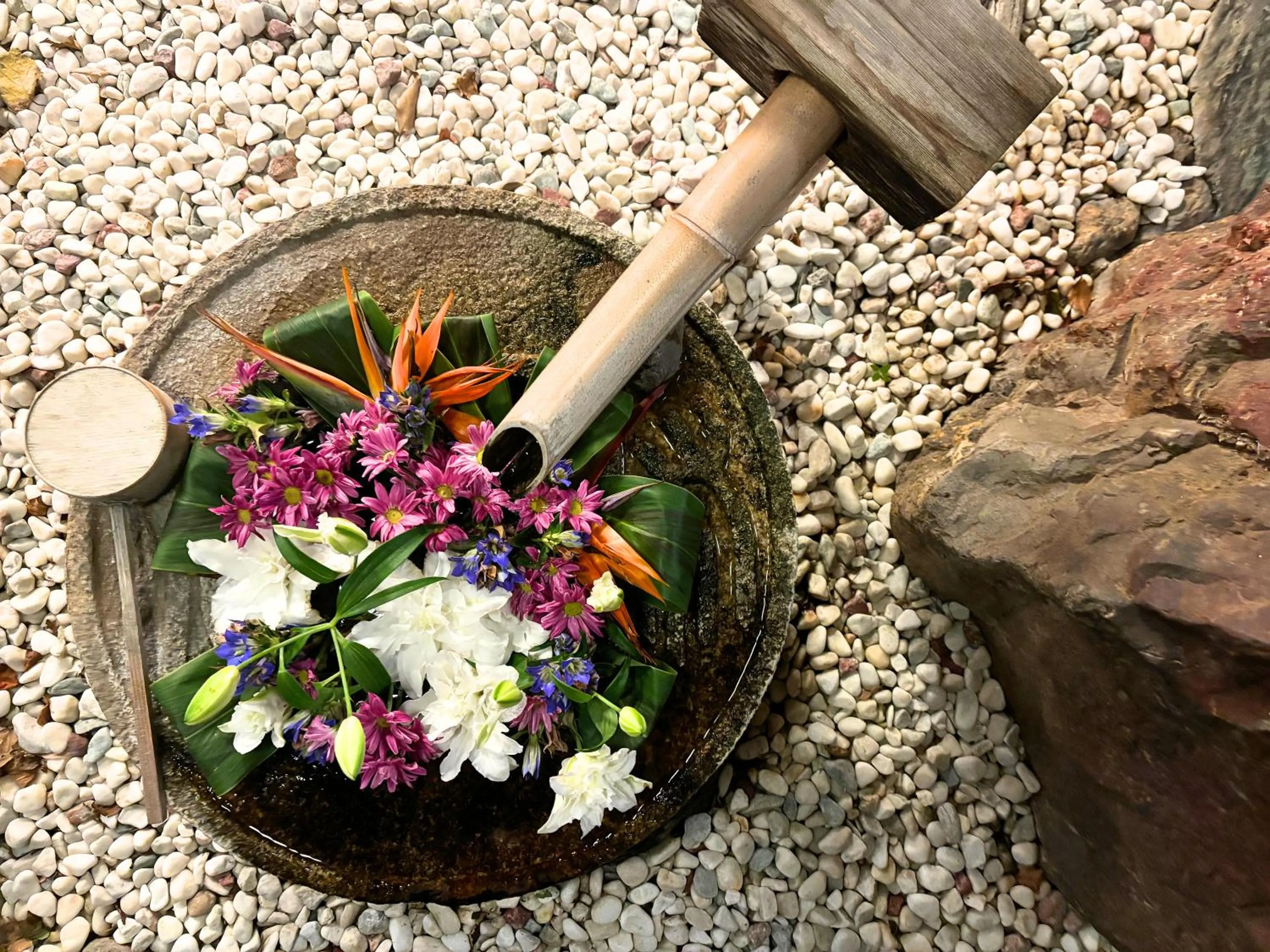 Area and facilities in Wakamatsu HakoneYugawara