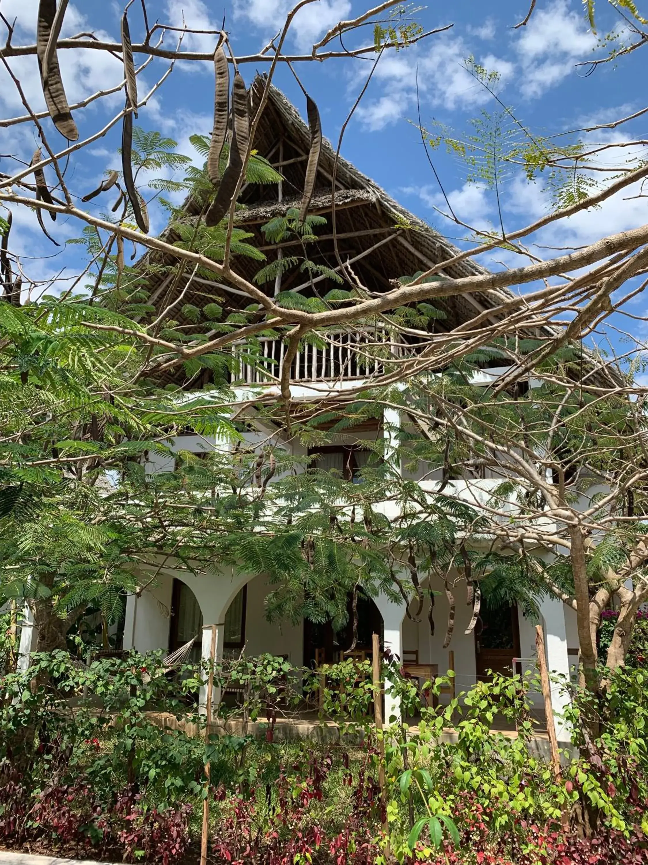 Apartment in Breeze Residence Apartment in Breeze Residence