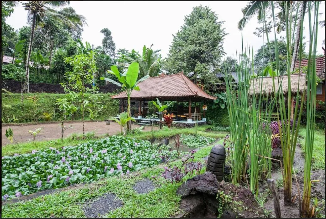 Lobby or reception in Song Broek Bali