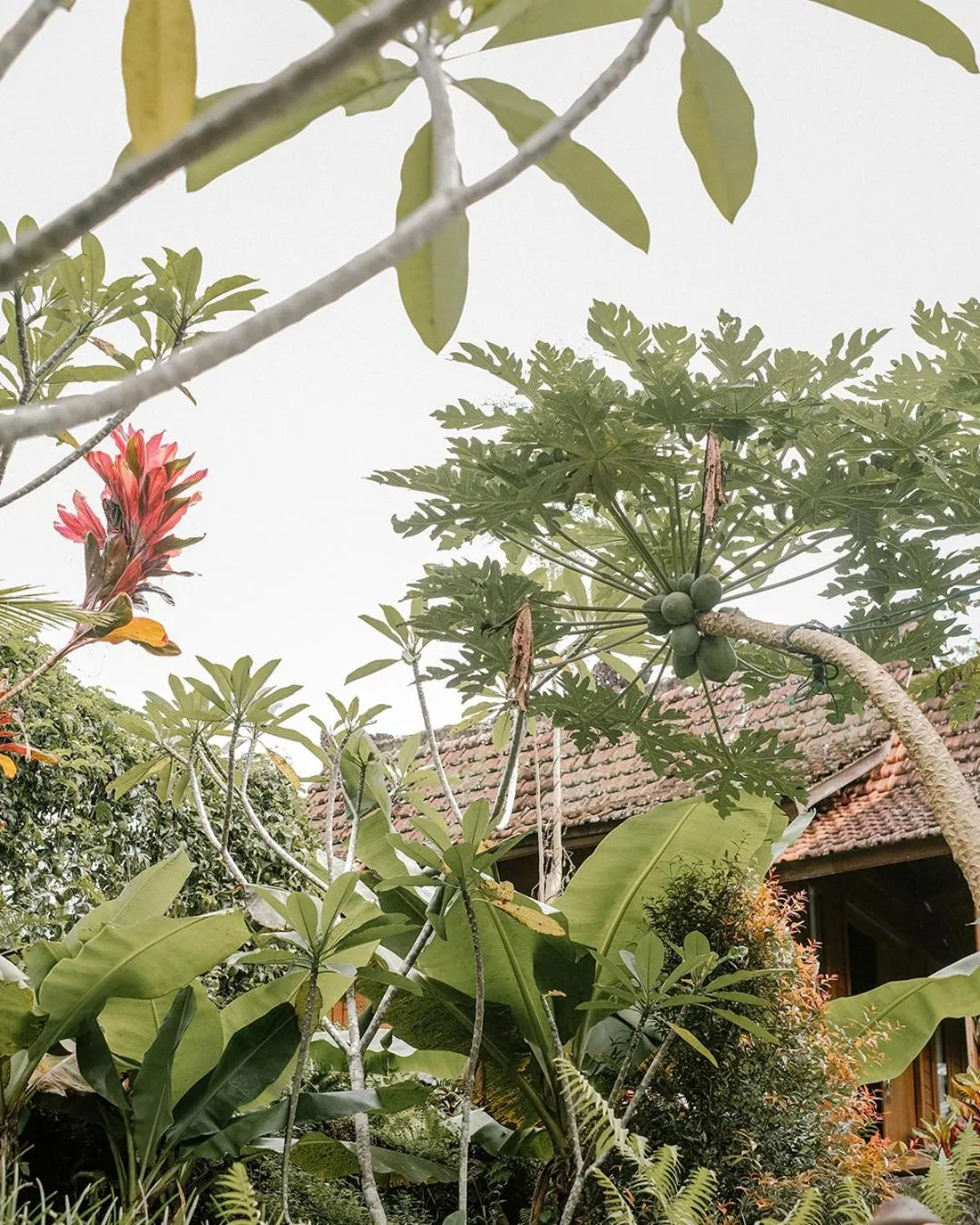 Natural landscape in Song Broek Bali