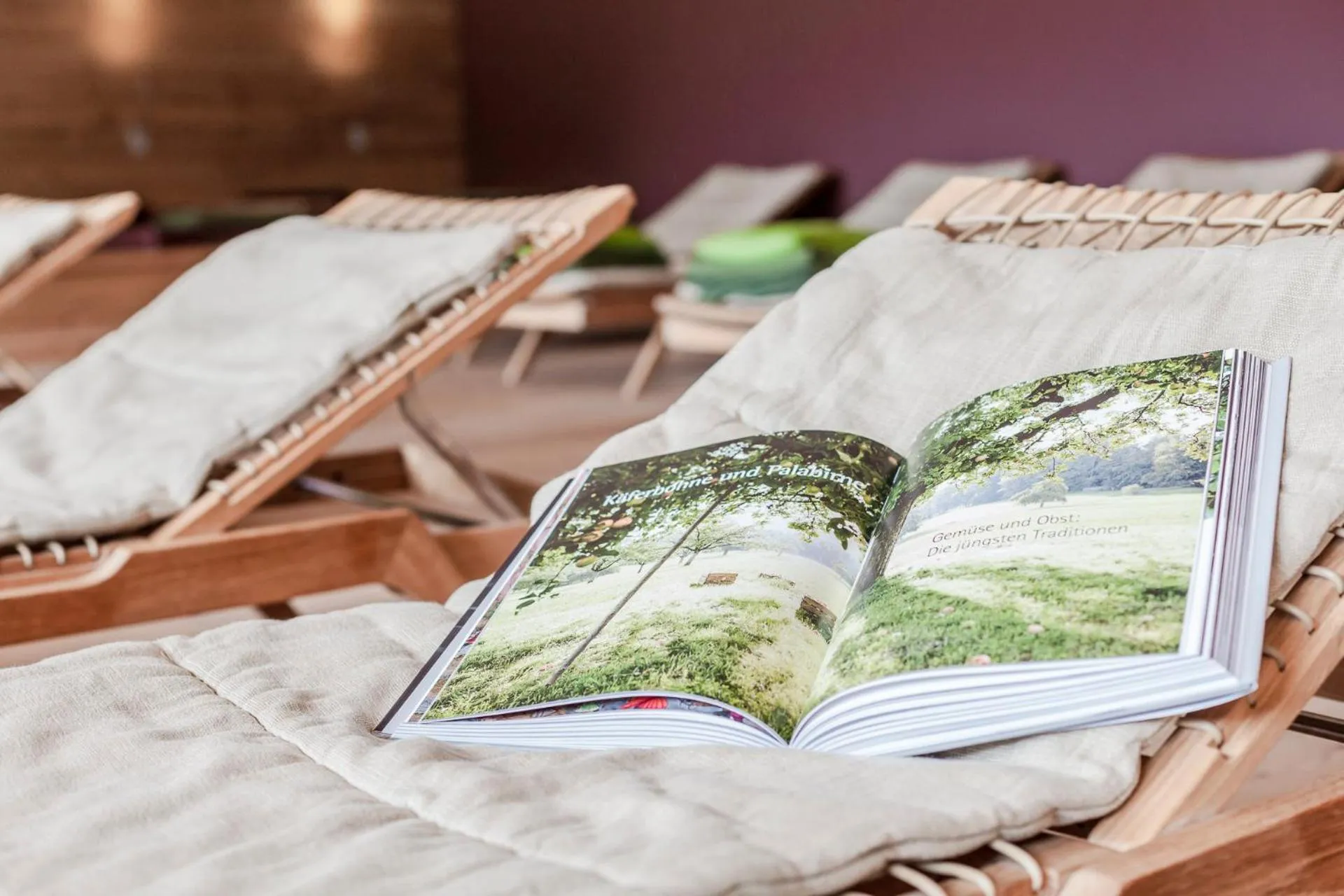 Spa and wellness centre/facilities in Hotel Drumlerhof