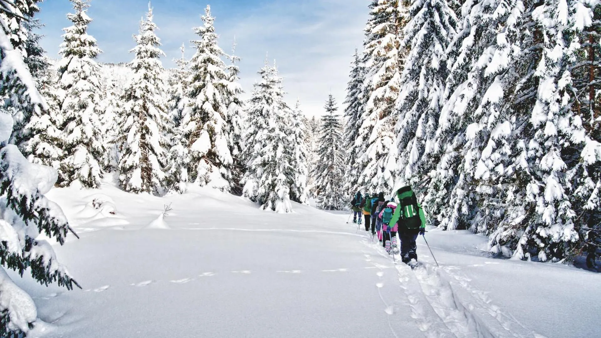 Hiking in Hotel Drumlerhof