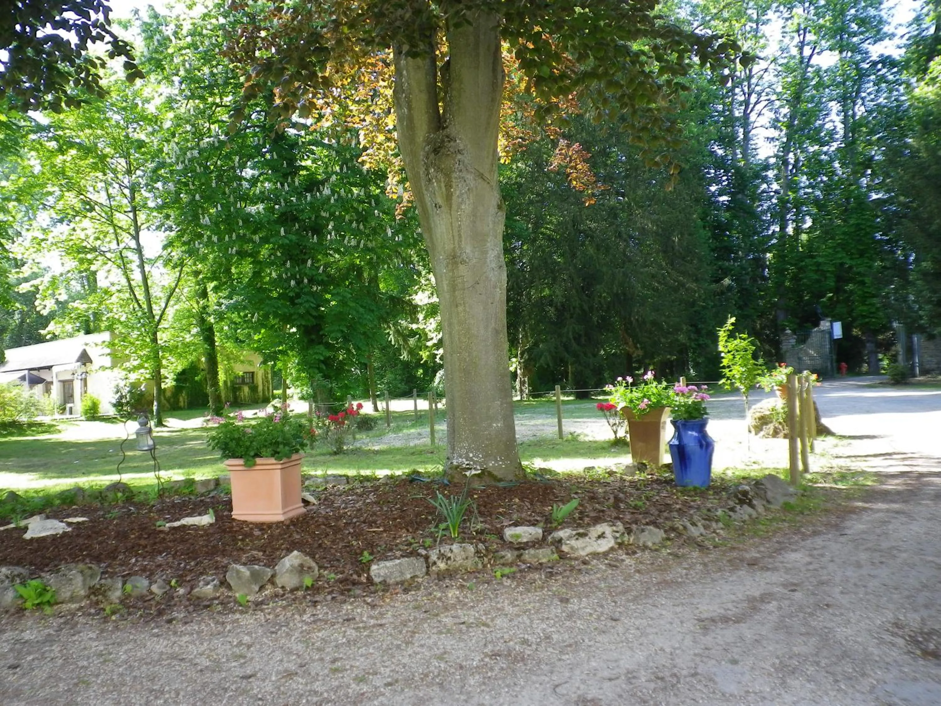 Natural landscape in Hôtellerie Nouvelle de Villemartin