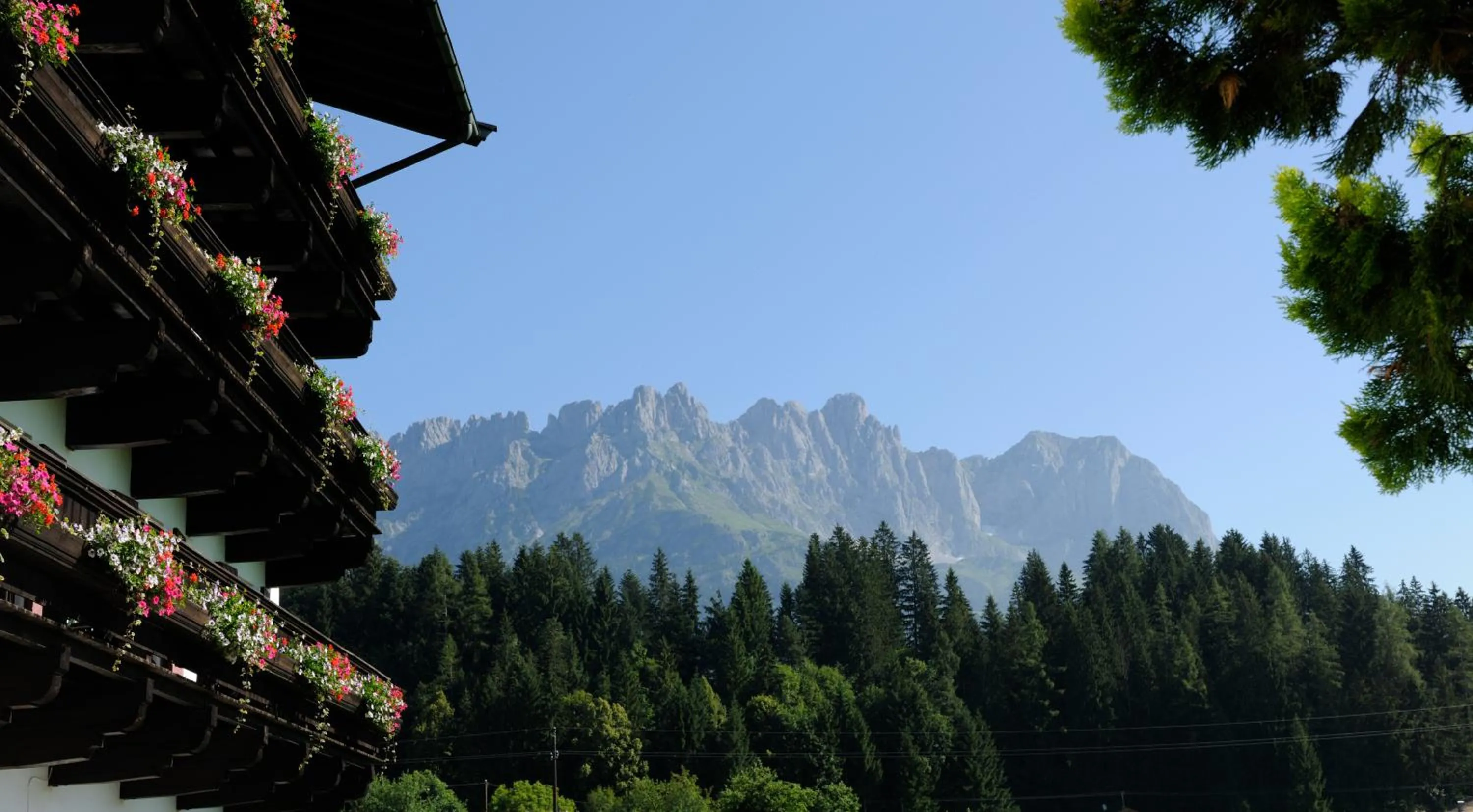 Natural landscape in Hotel Blattlhof