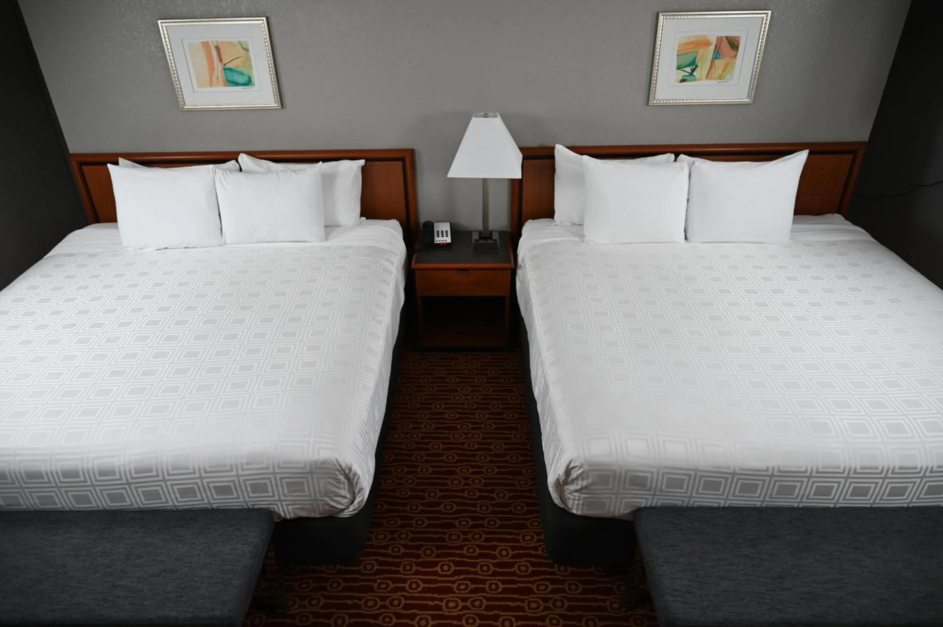 Bed in Atrium Hotel and Suites DFW Airport