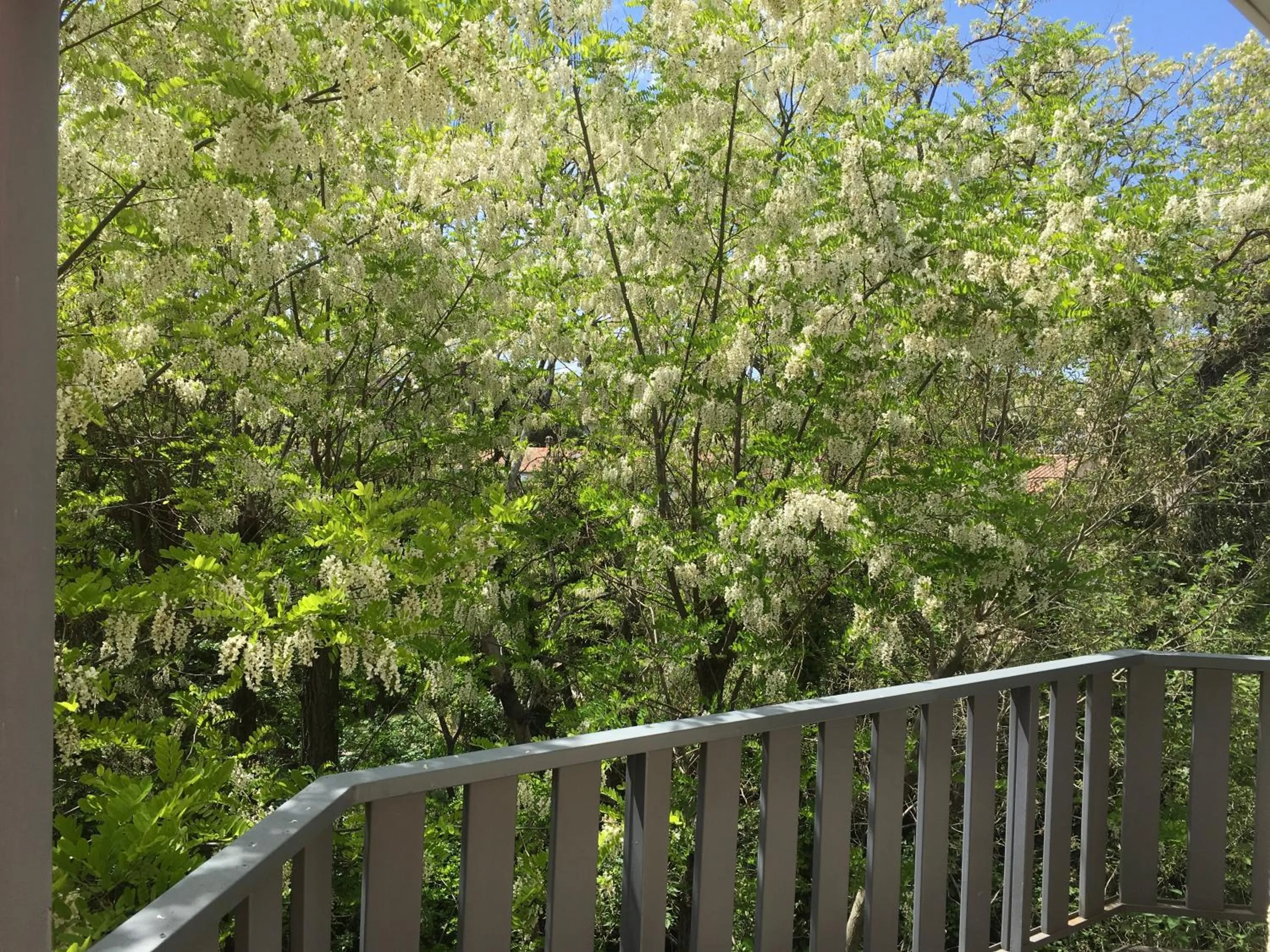 Balcony/Terrace in Hotel Bel Alp Manosque