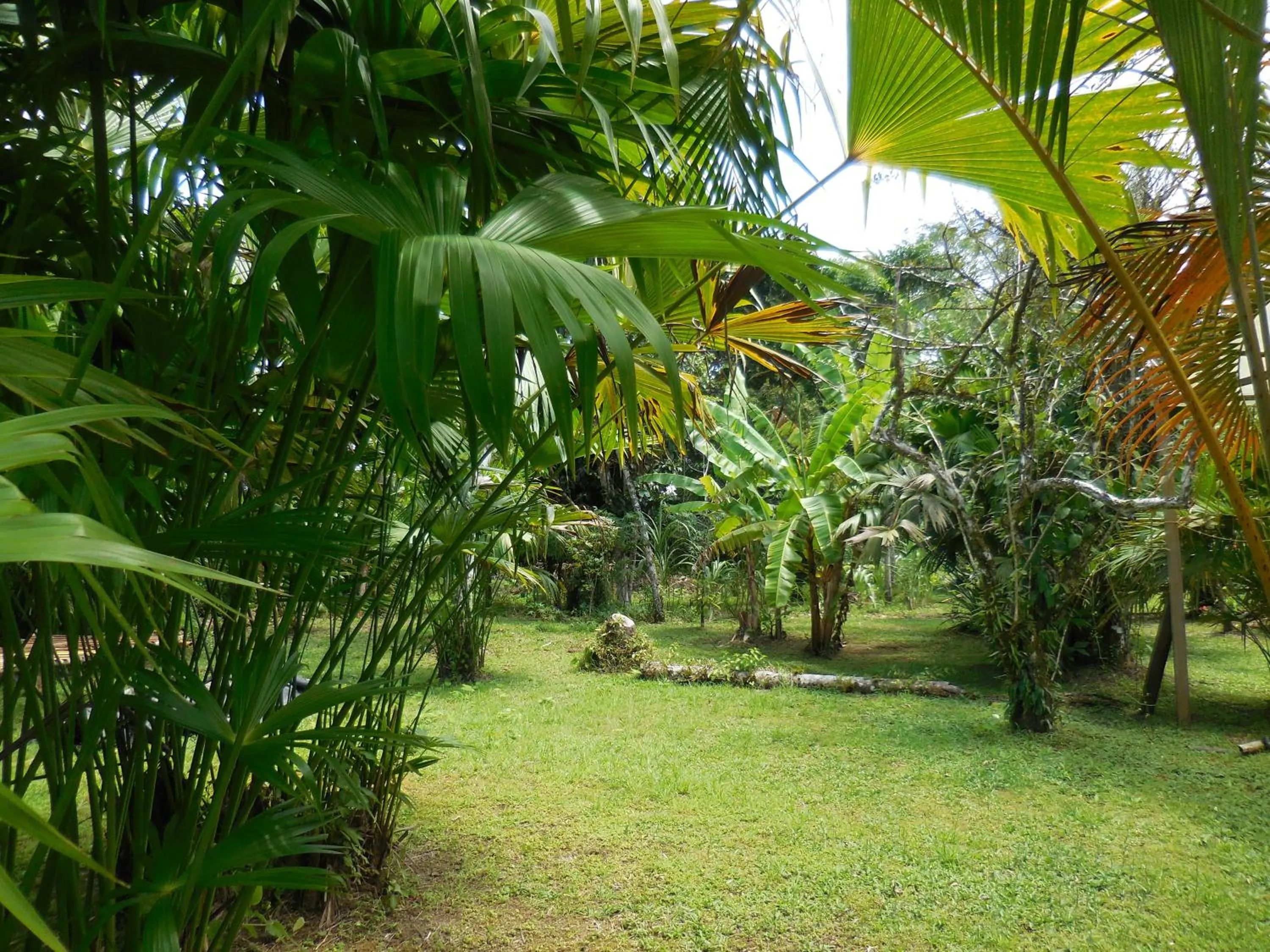 Garden in Hotel Nuquimar