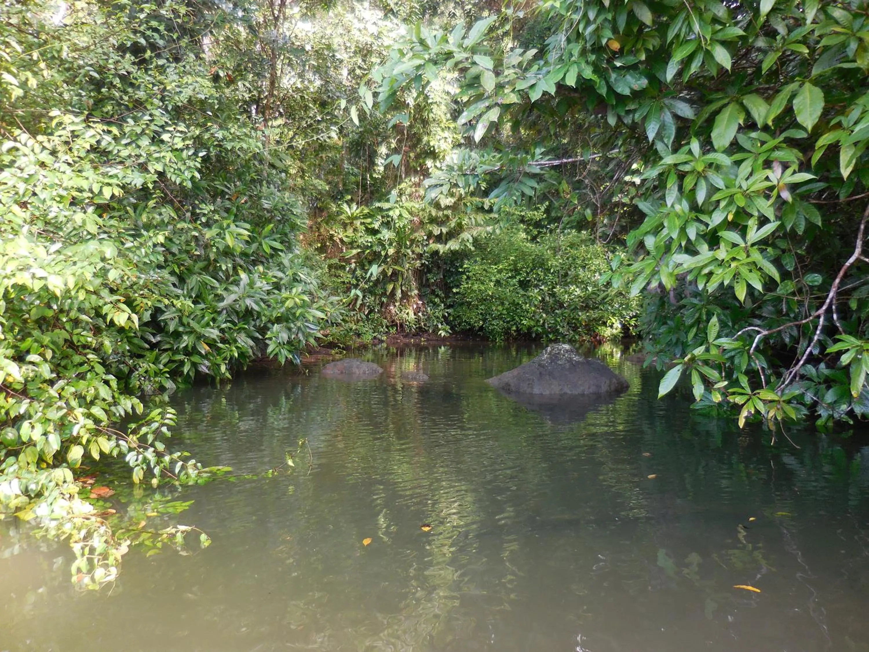 Beach in Hotel Nuquimar