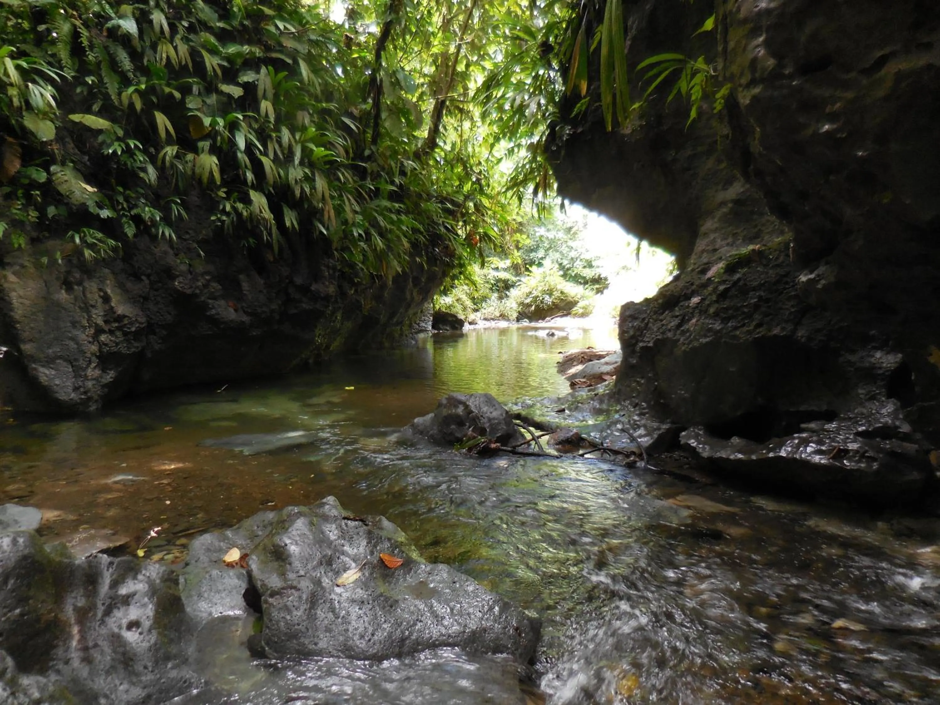 Beach in Hotel Nuquimar
