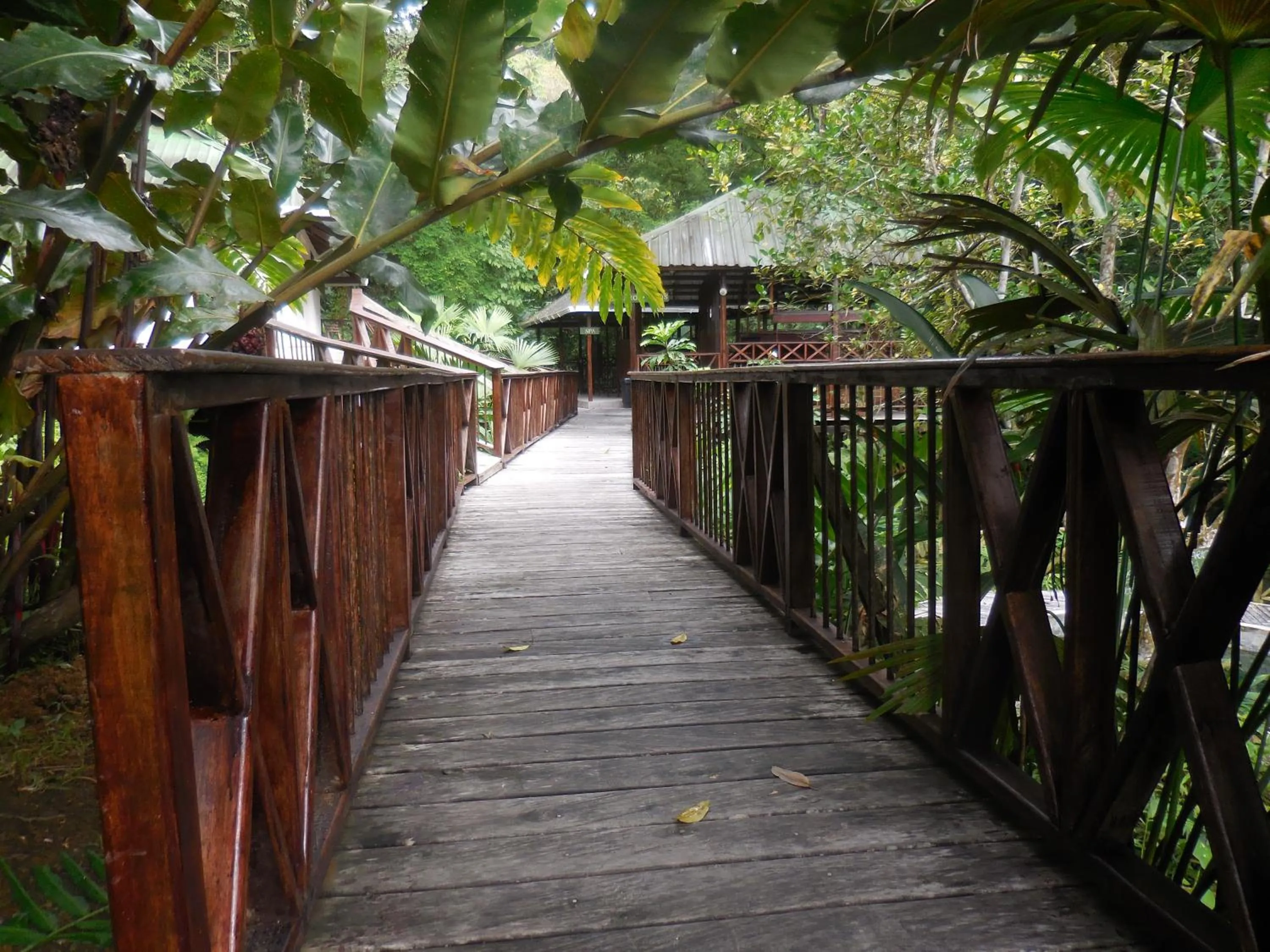 Hot Spring Bath in Hotel Nuquimar