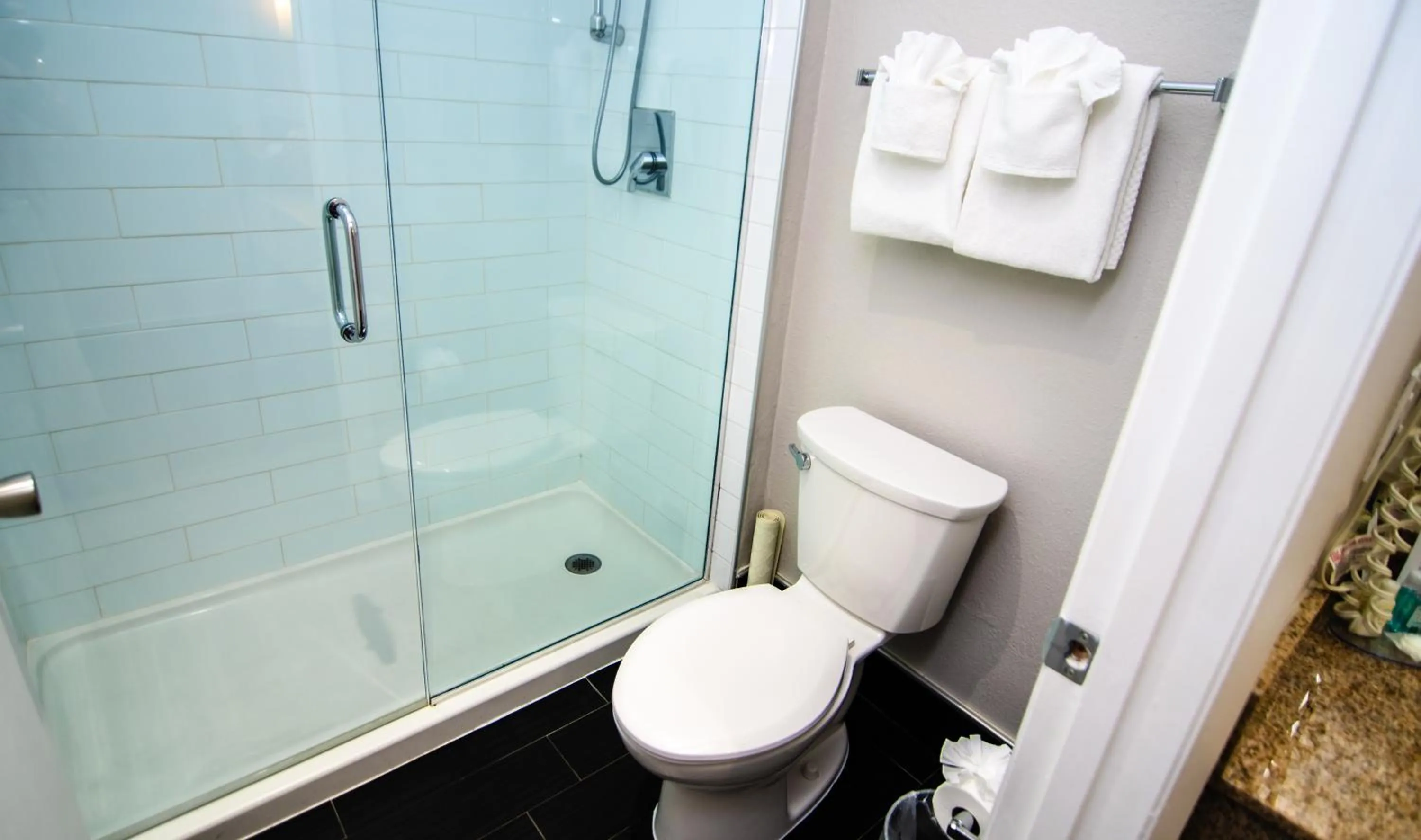 Shower in Quality Inn & Suites By the Parks