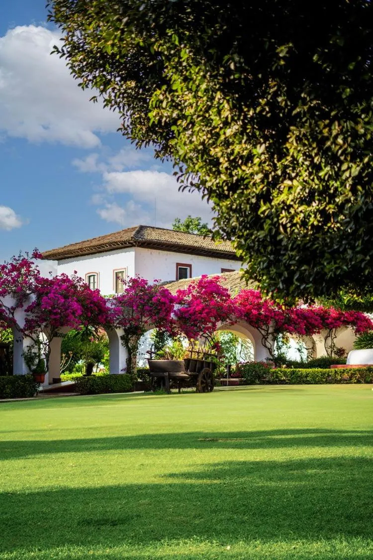 Garden view in Best Western Plus Posada de Don Vasco
