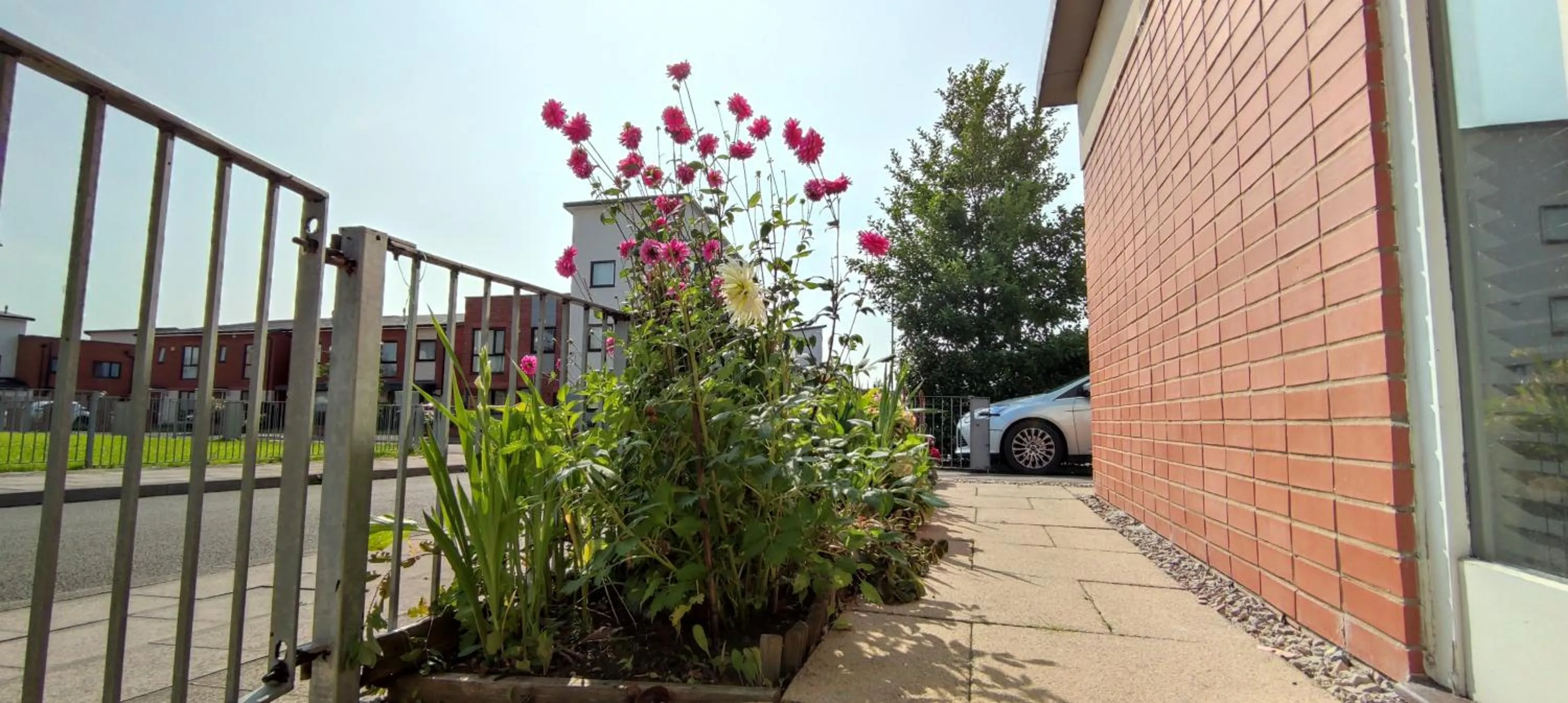 Balcony/Terrace in Arena House