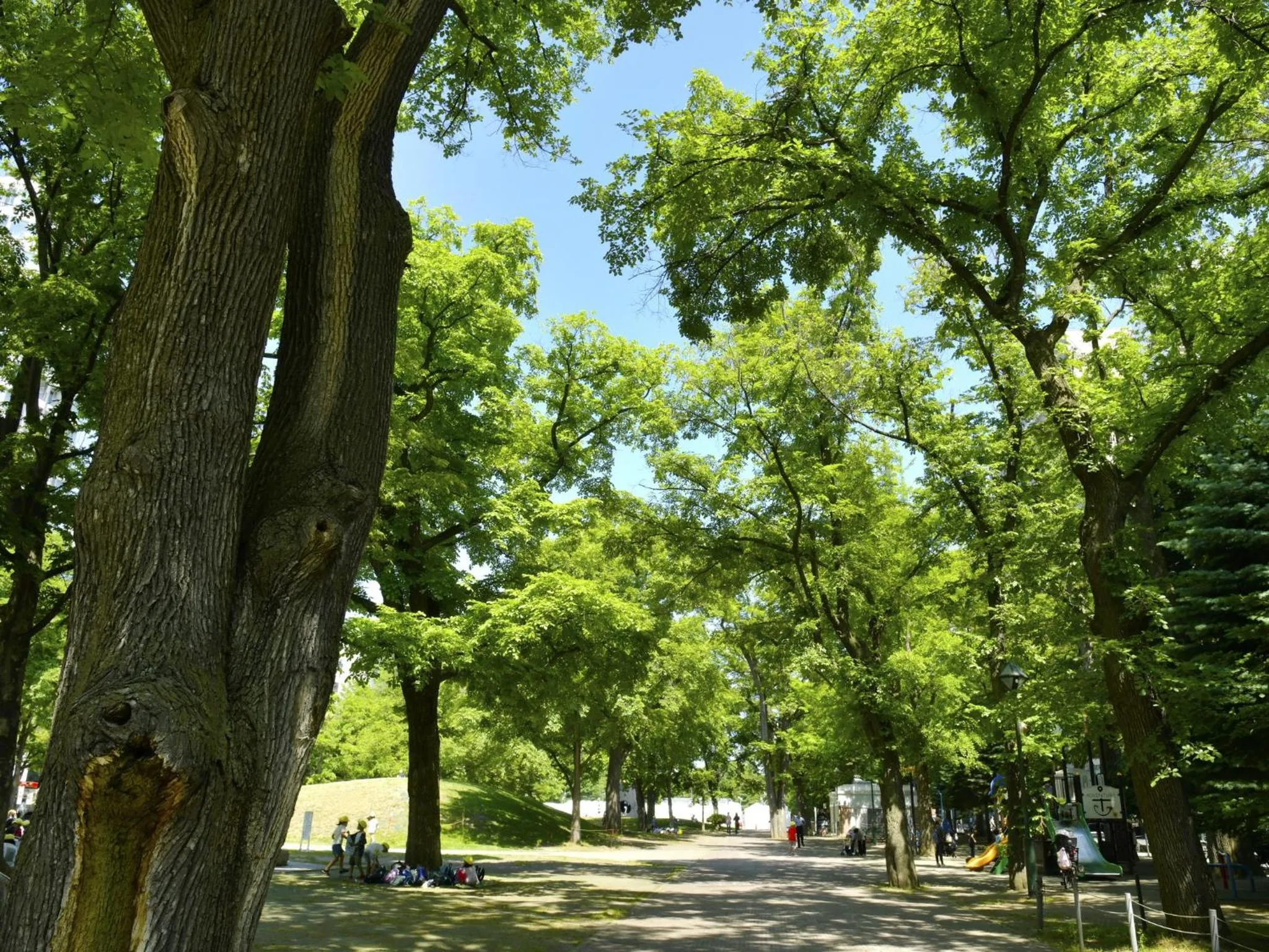 Nearby landmark in Sapporo View Hotel Odori Park