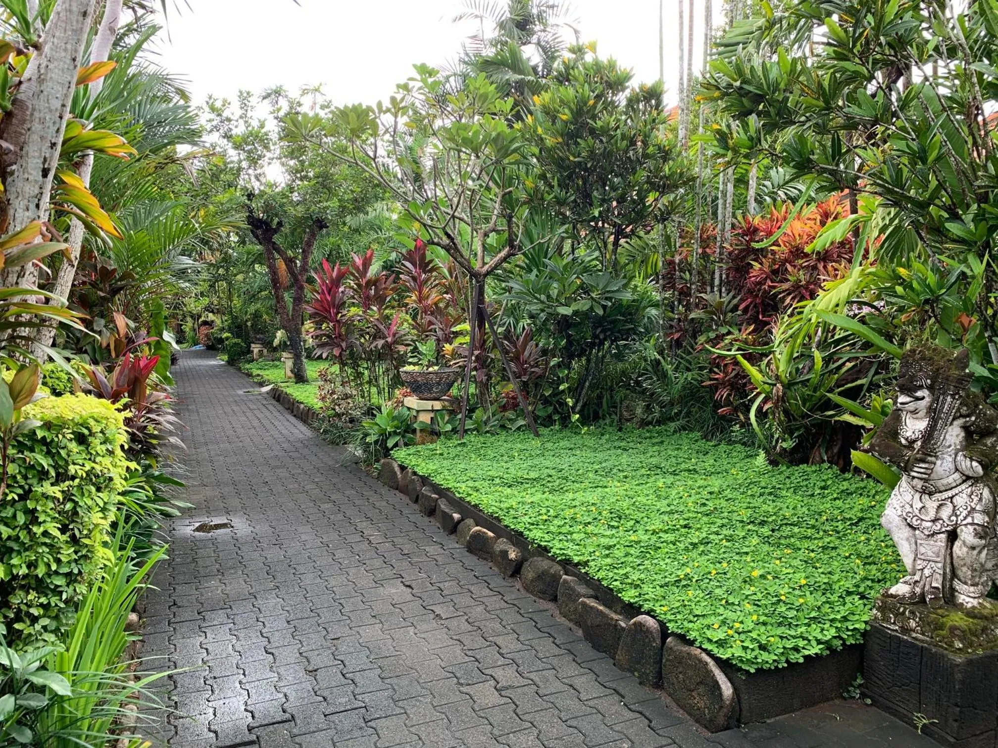 Garden in Taman Harum Cottages
