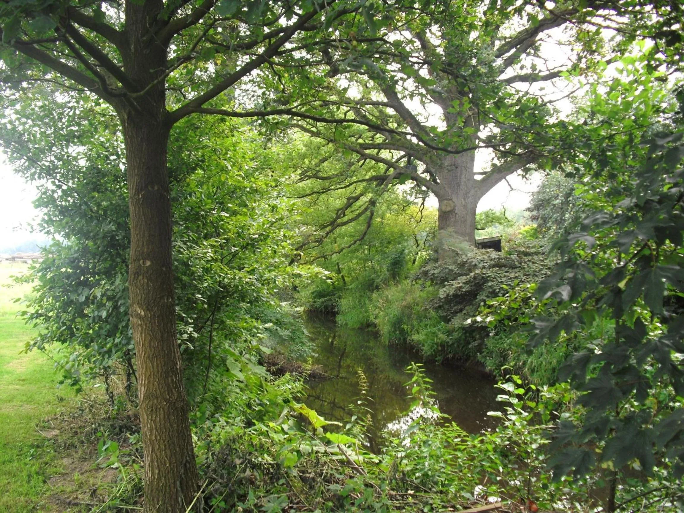 Area and facilities in Hotel de Lindeboom
