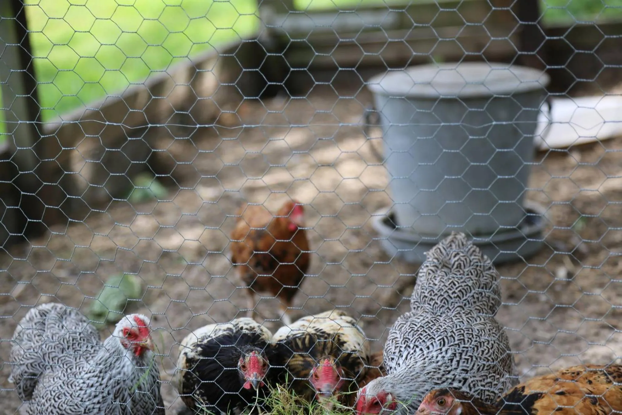 Other in Hotel de Lindeboom