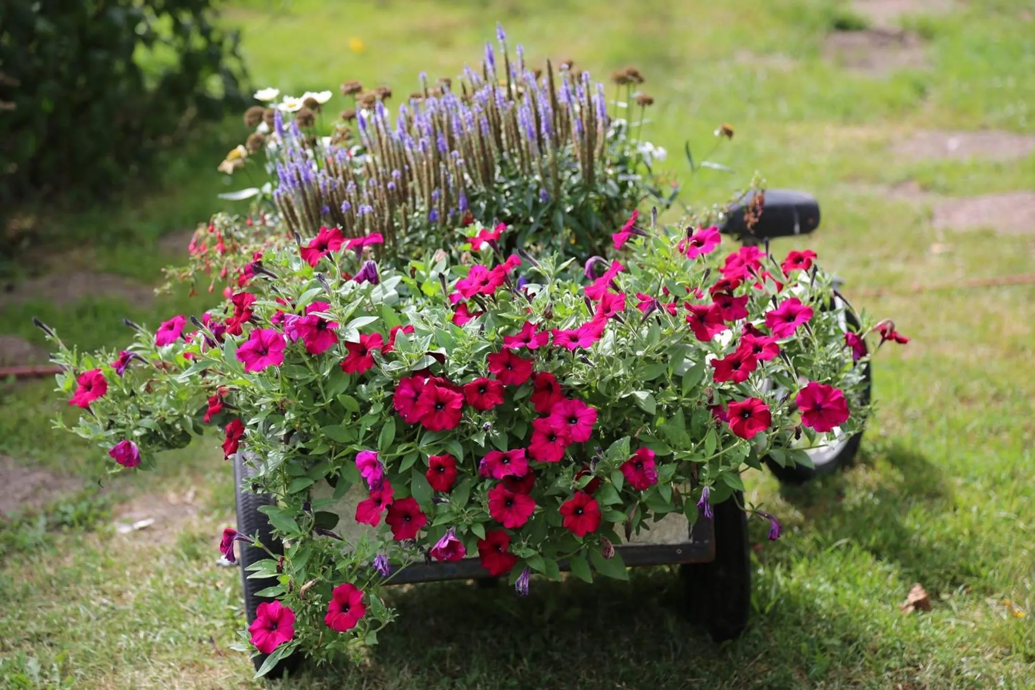 Decorative detail in Hotel de Lindeboom