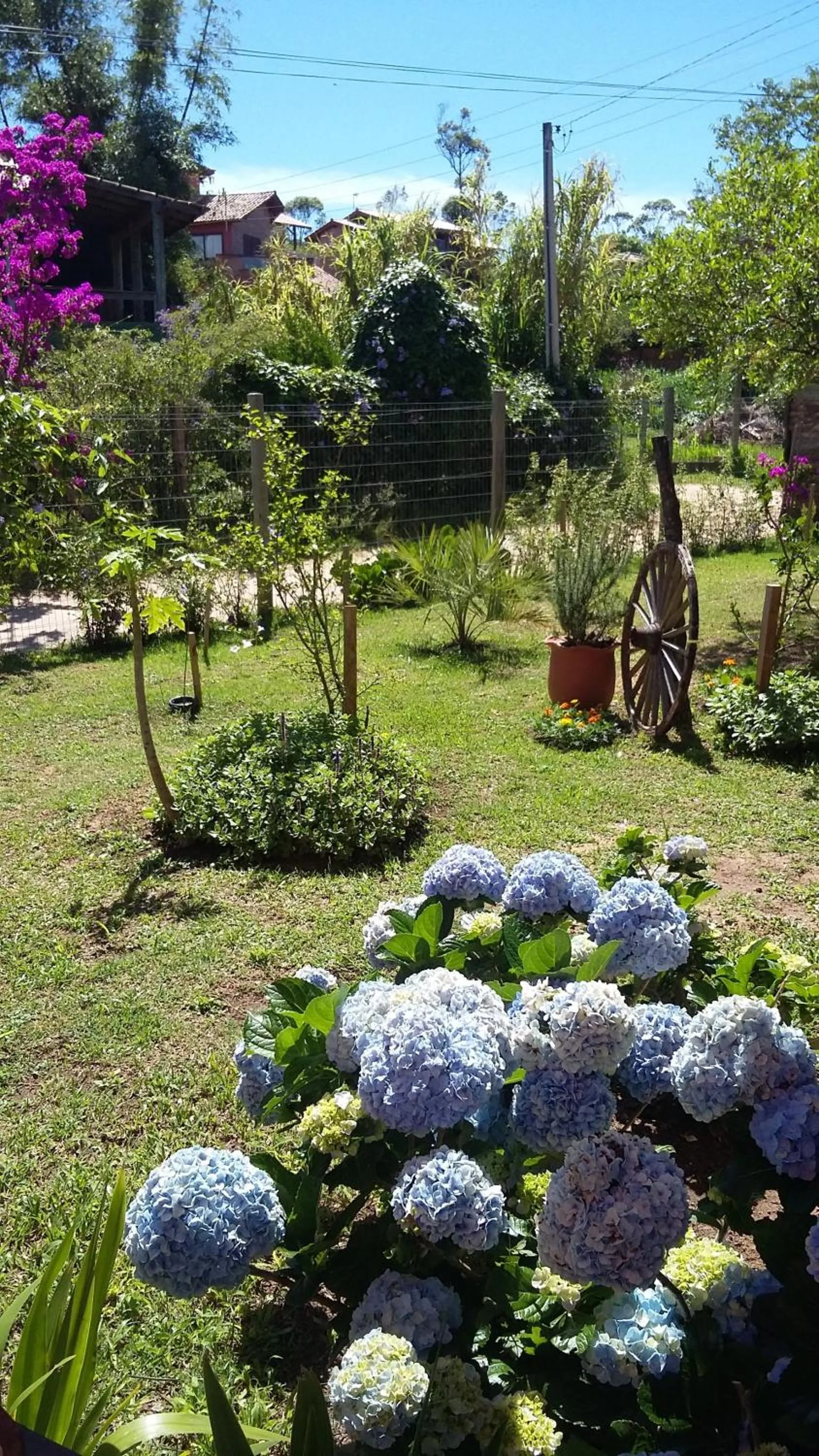 Santa Monica Hospedaria