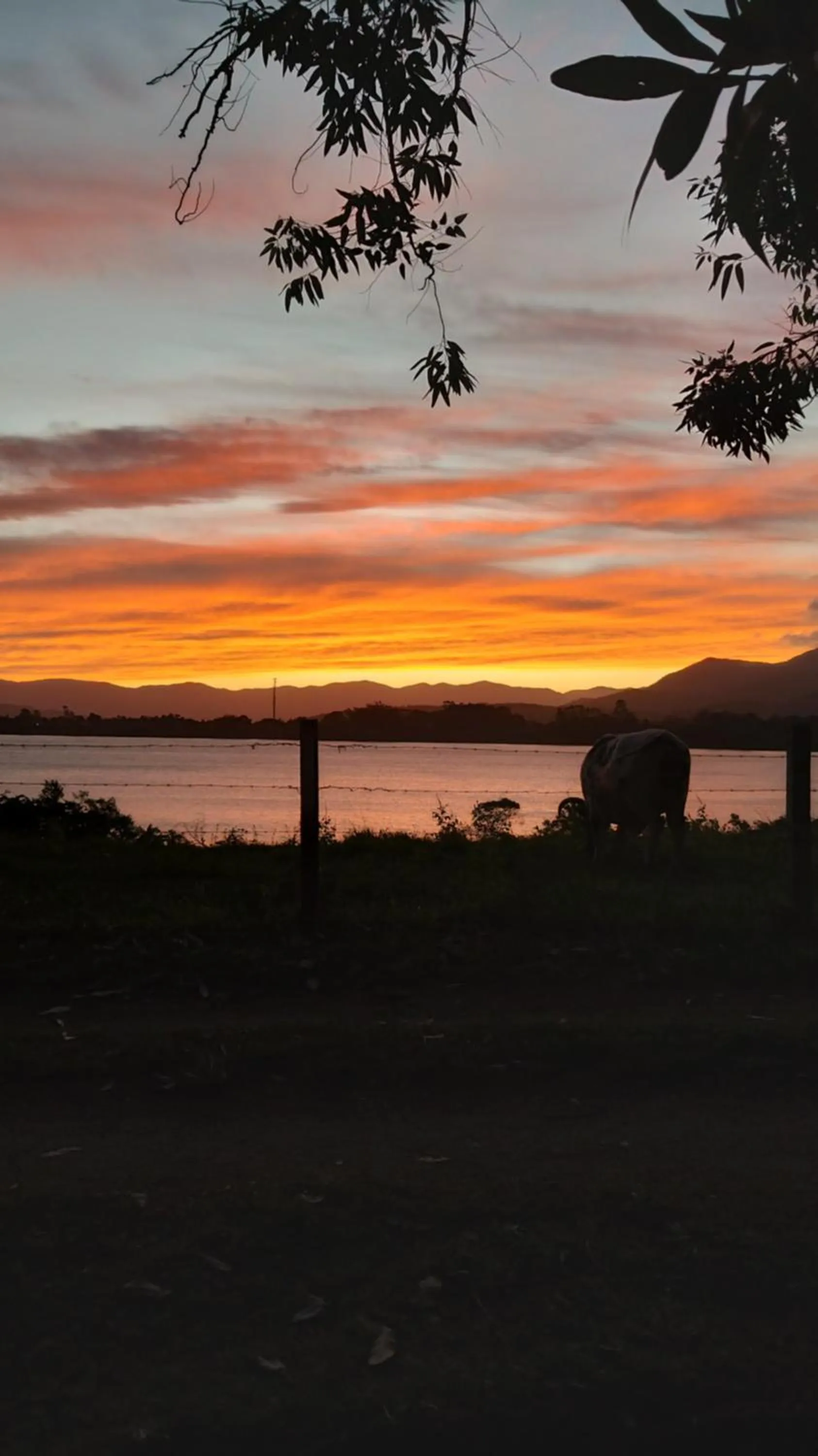 Santa Monica Hospedaria