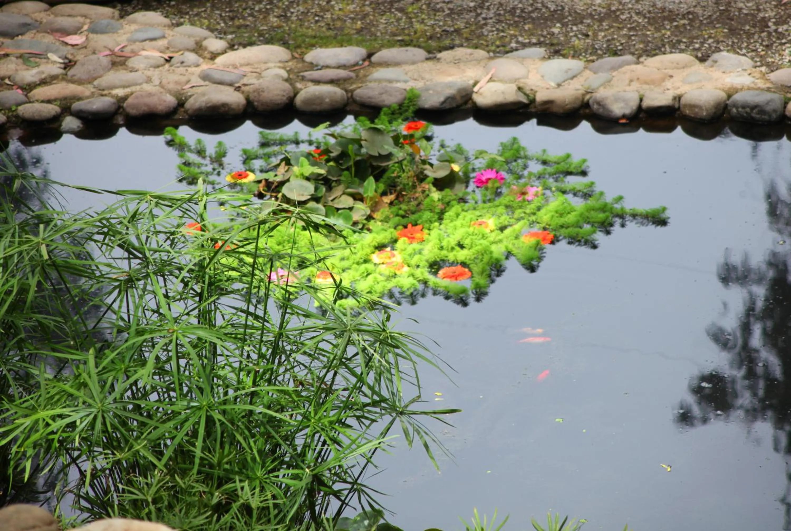 Garden in Hotel Bosque de Reñaca