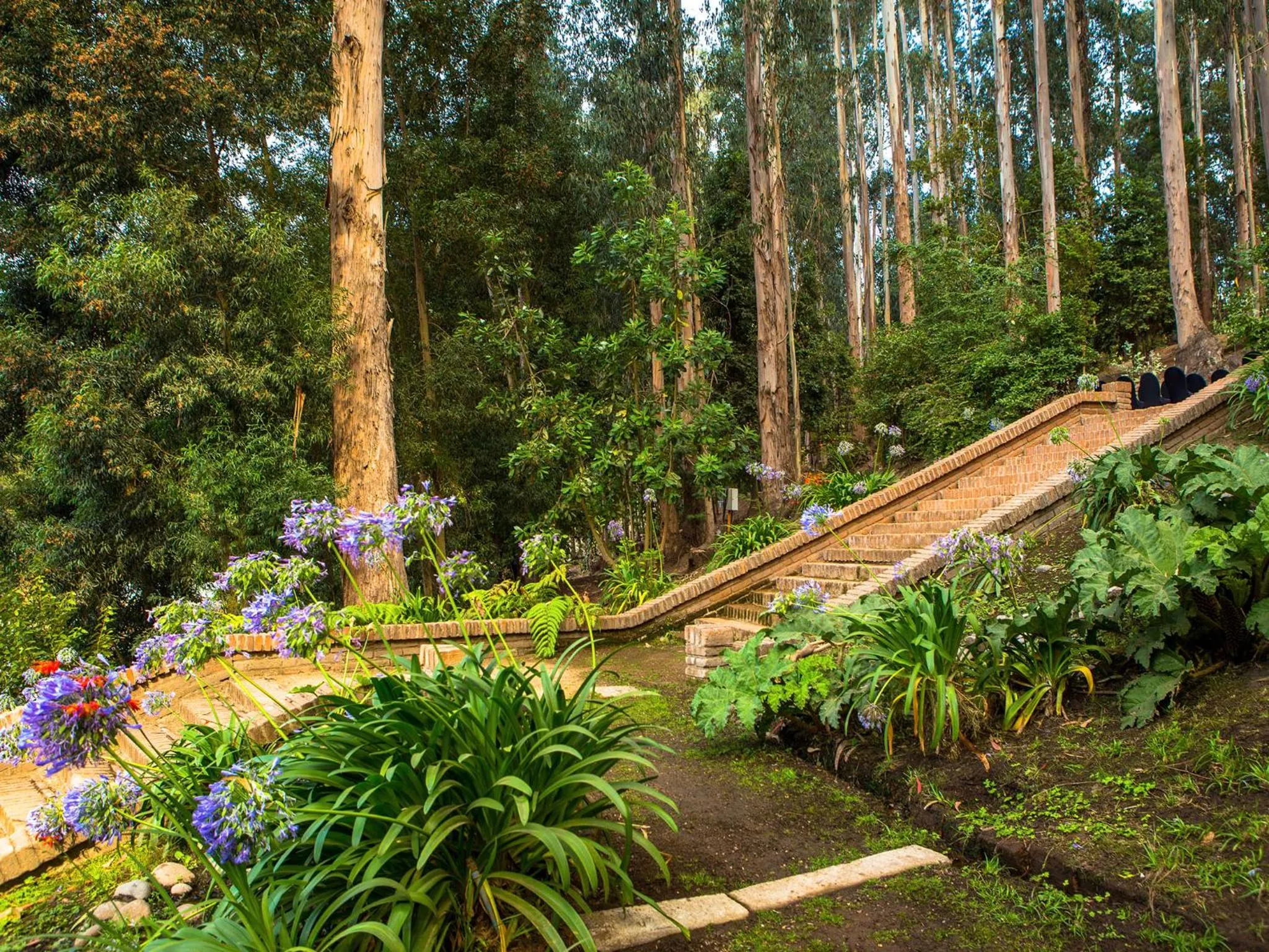 Garden view in Hotel Bosque de Reñaca