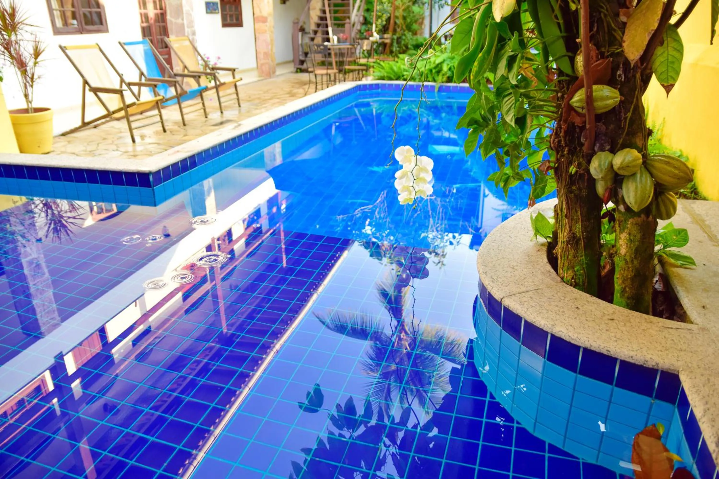 Pool view in Magnu´s Pousada