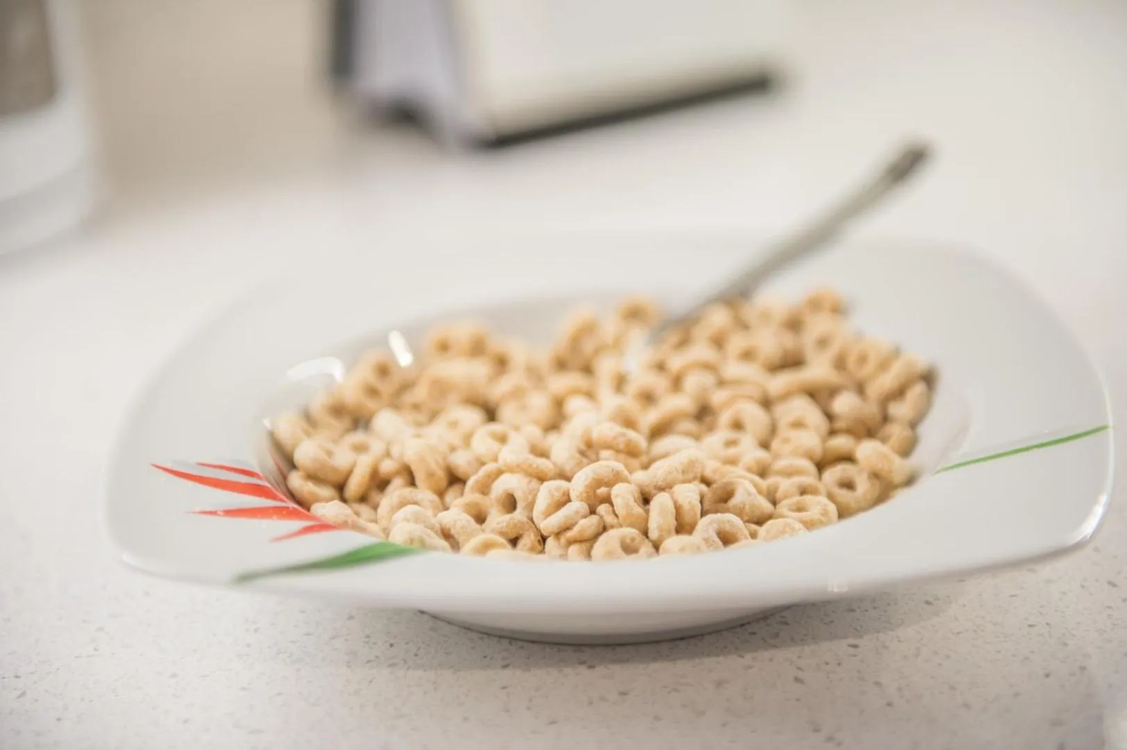 Food and drinks in Gite du Survenant Montreal