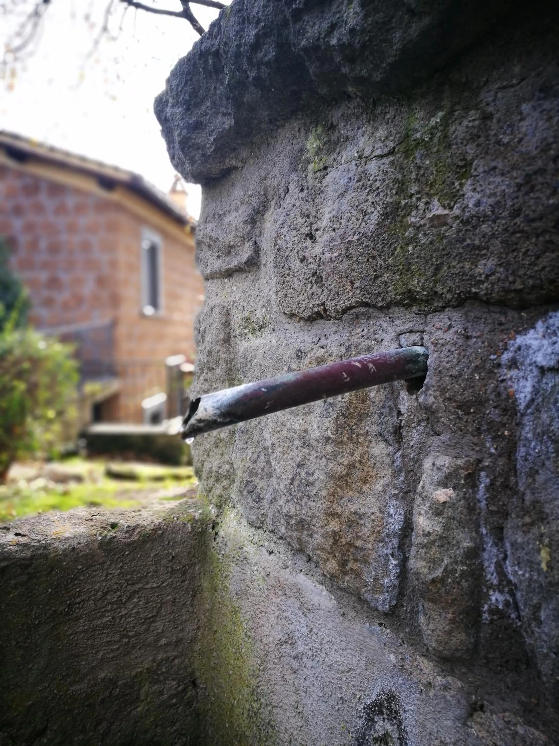 Garden in Podere La Branda