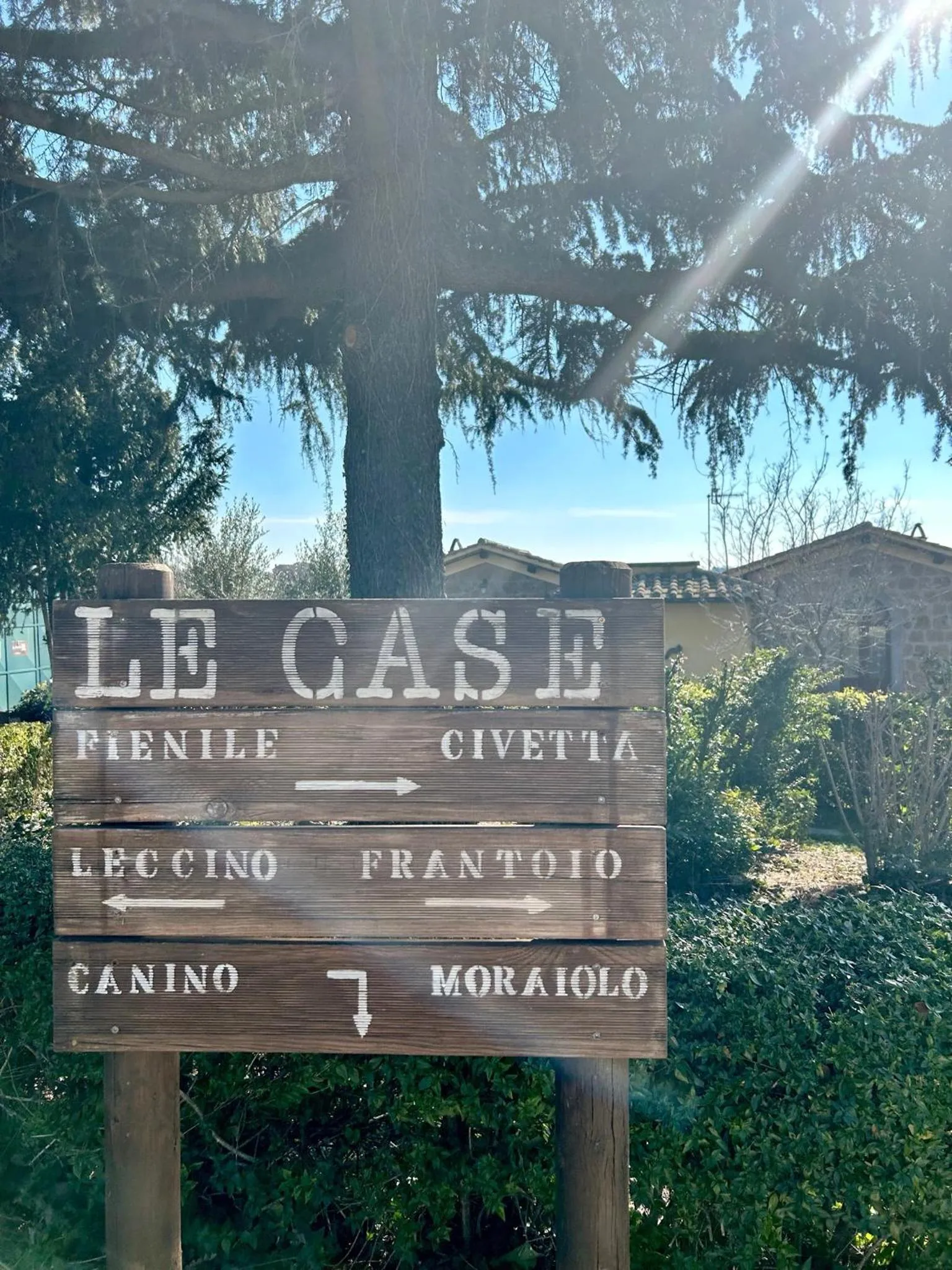 Garden in Podere La Branda
