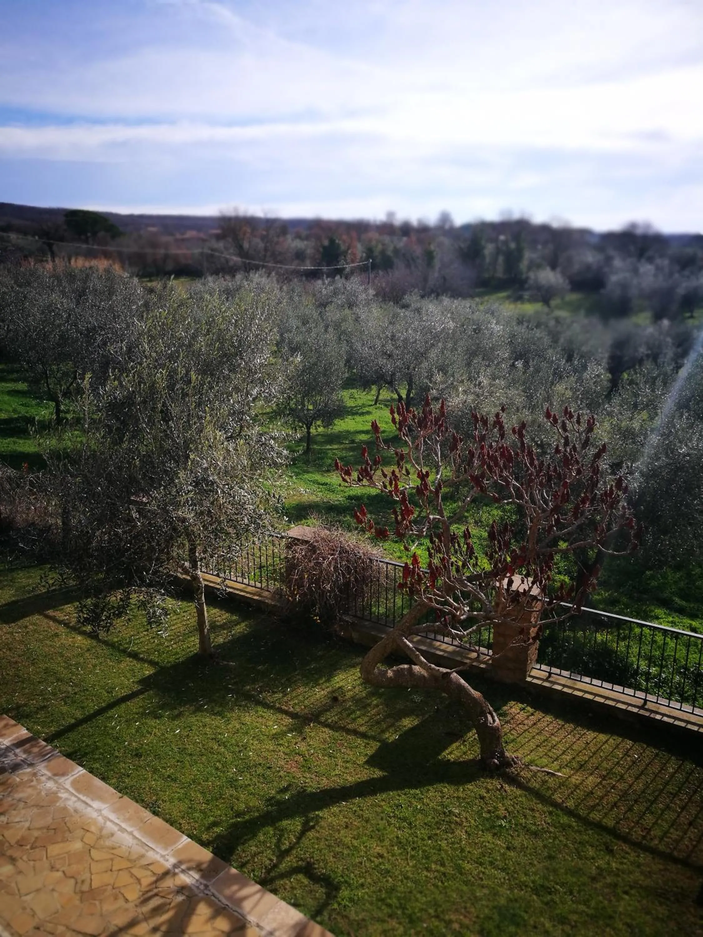 View (from property/room) in Podere La Branda