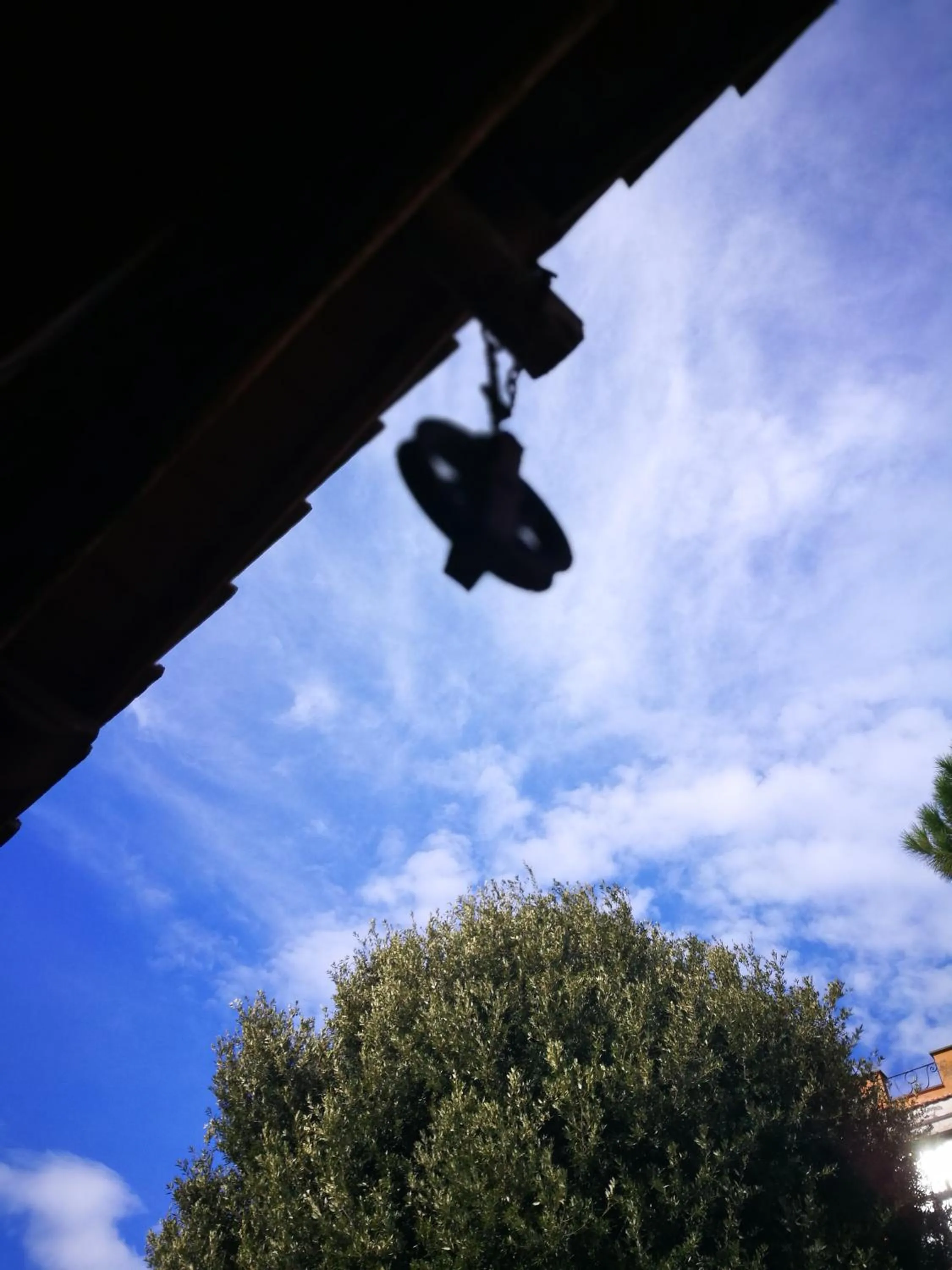 Garden view in Podere La Branda