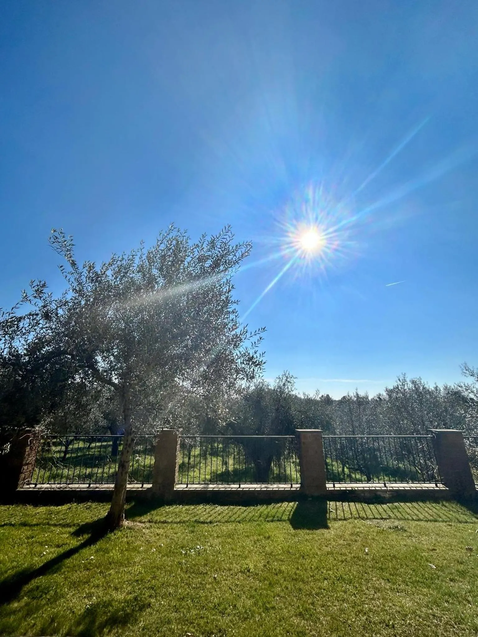Day in Podere La Branda
